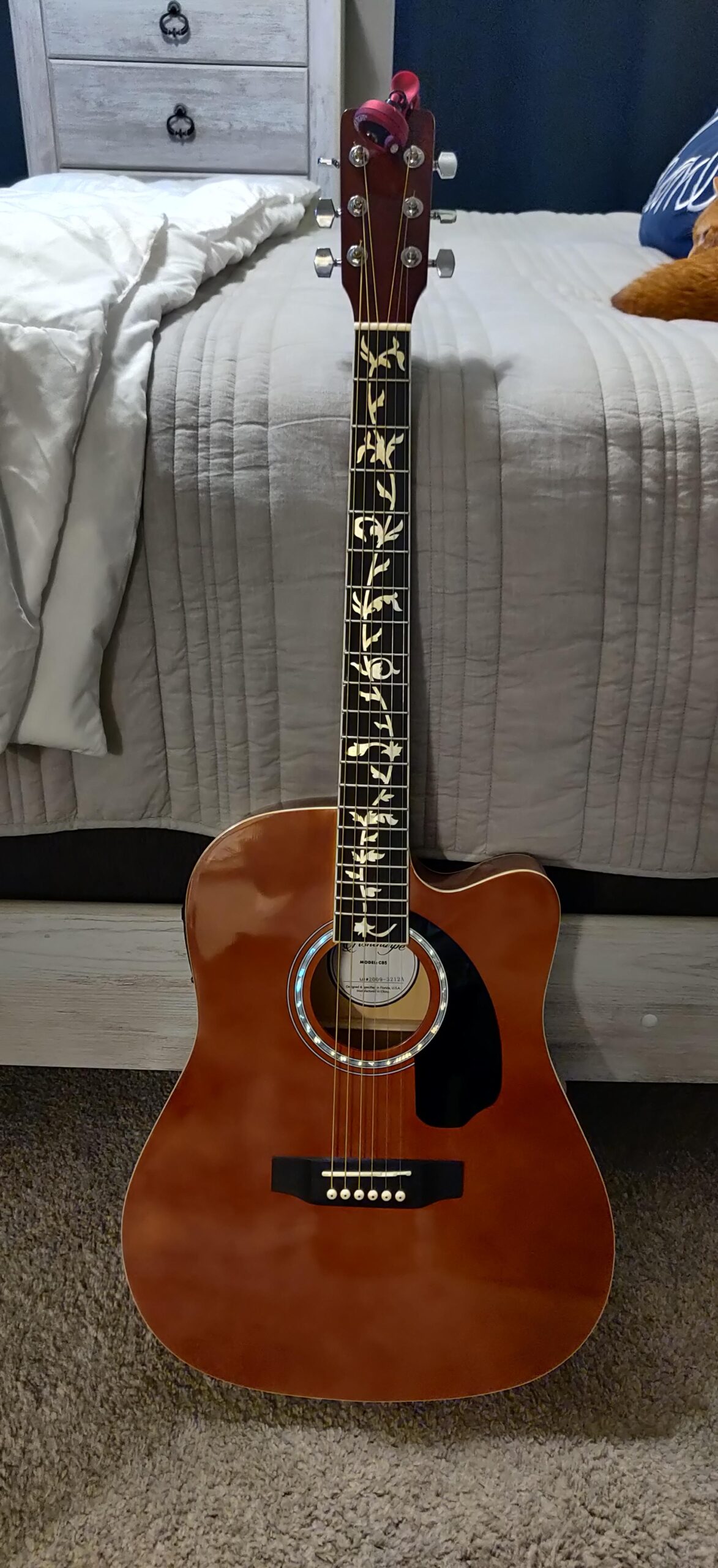 Ashthorpe Full-Size Cutaway Thinline Acoustic-Electric Guitar Package - Premium Tonewoods - Black customer photo 1