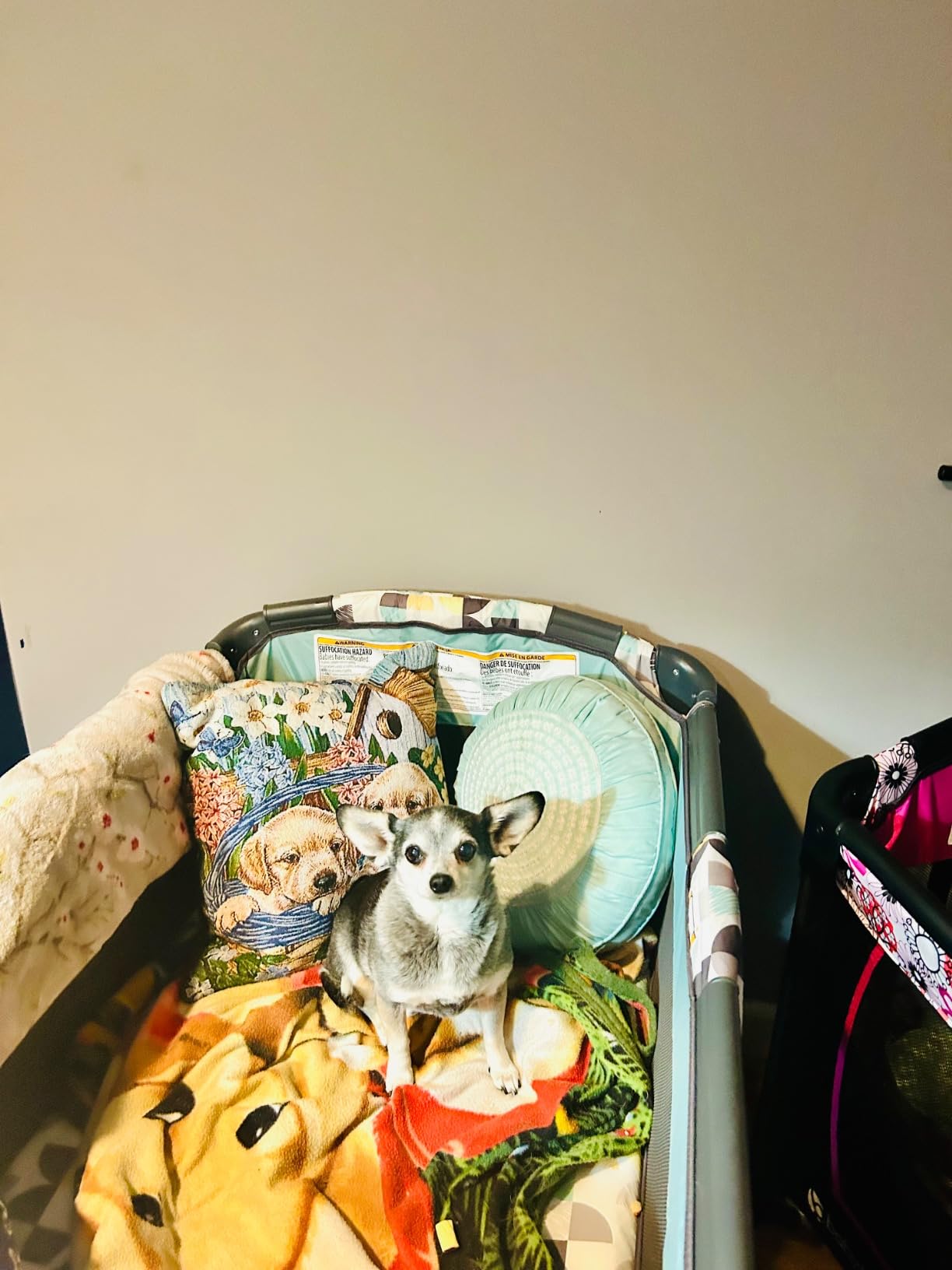 Baby Trend Nursery Center, Portable Playard with Bassinet, Changing Table and Storage Organizer, Doodle Dots customer photo 2