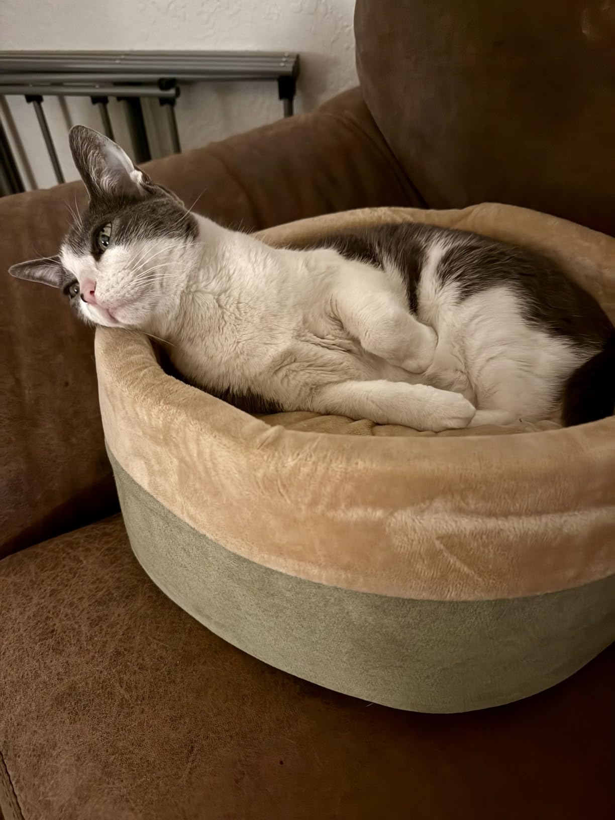 K&H Pet Products Thermo-Kitty Bed Heated Cat Beds for Large Indoor Cats & Dogs, Calming Warming Pillow Pet Bed, Machine Washable, Removable Heater, Safety Listed - Large 20