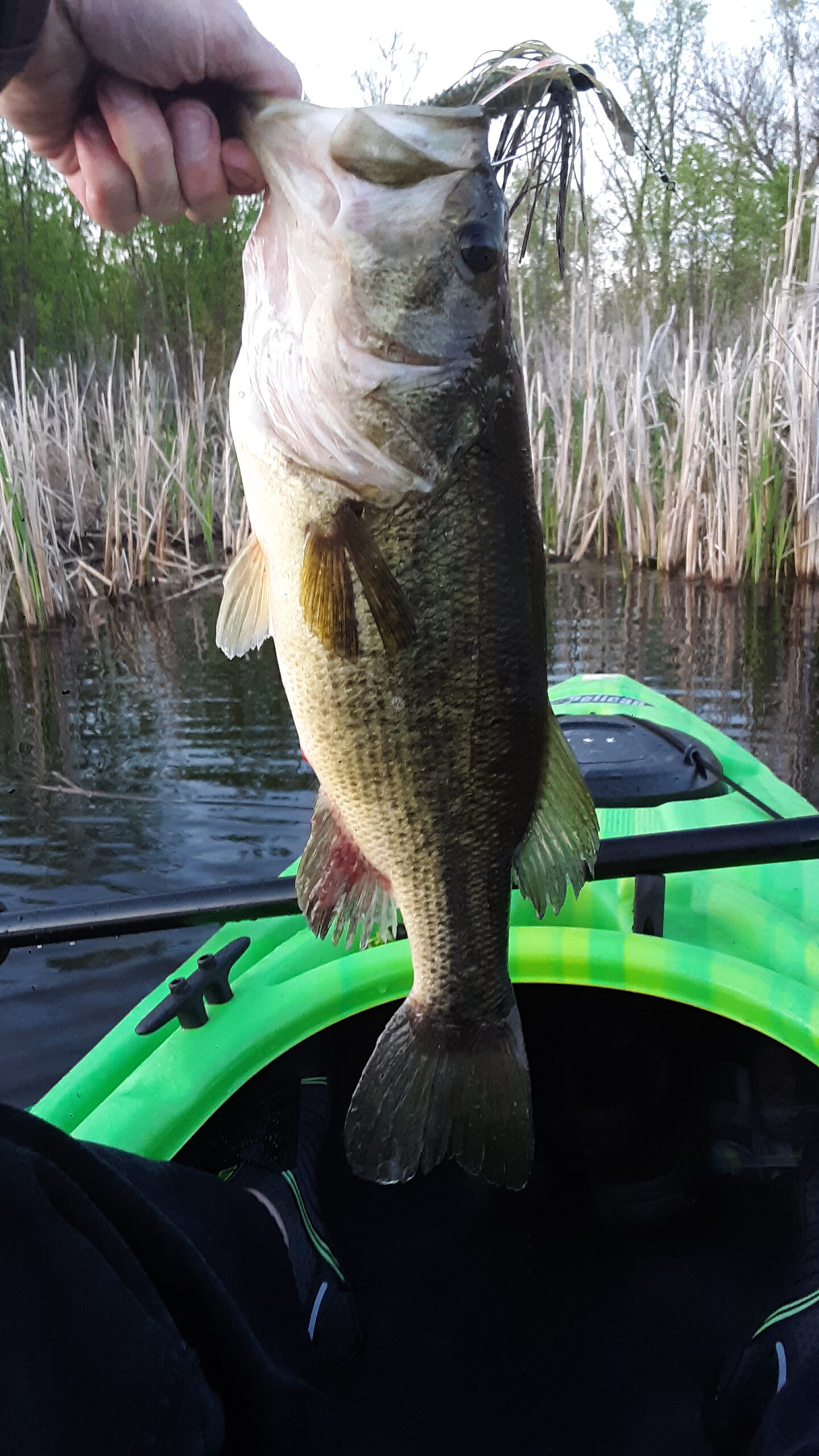 Lew's Mach I Speed Spool Baitcast Reel customer photo 2