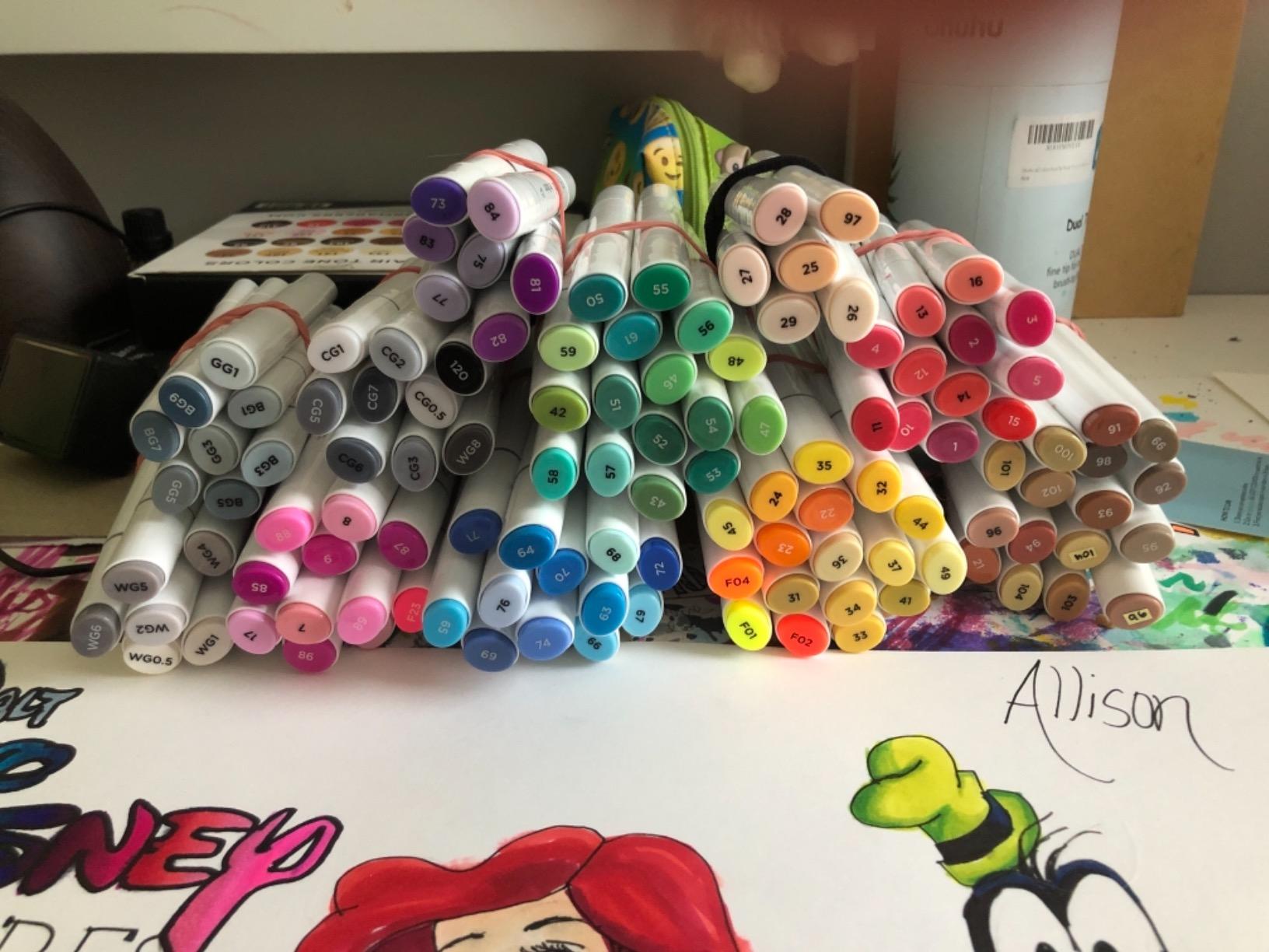 Ohuhu Alcohol Based Markers: 120-color AP Certificated Refillable Double Tipped Art Marker Set for Artist Designer Adults Coloring Illustration - Chisel and Fine Dual Tips - Oahu of Ohuhu Markers customer photo 2