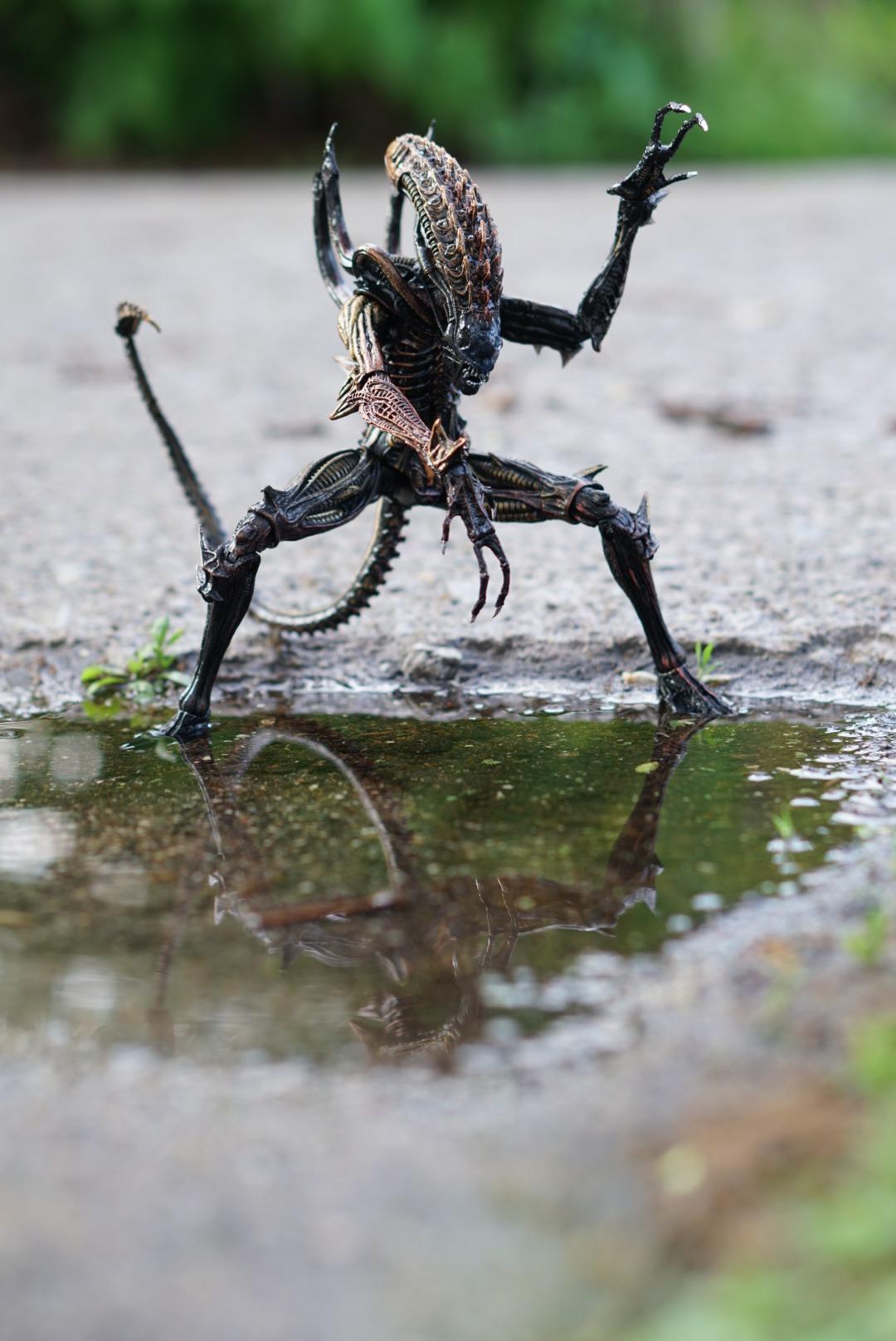 NECA - Aliens - 7