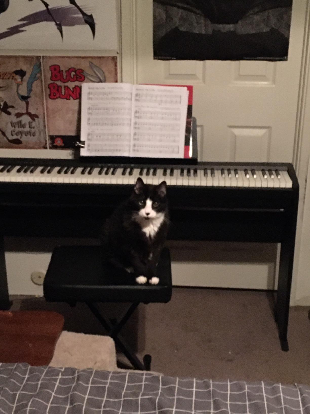 Roland FP-10 | Compact 88-Note Digital Piano | SuperNATURAL Piano Tones | Authentic Acoustic Feel Keyboard customer photo 2