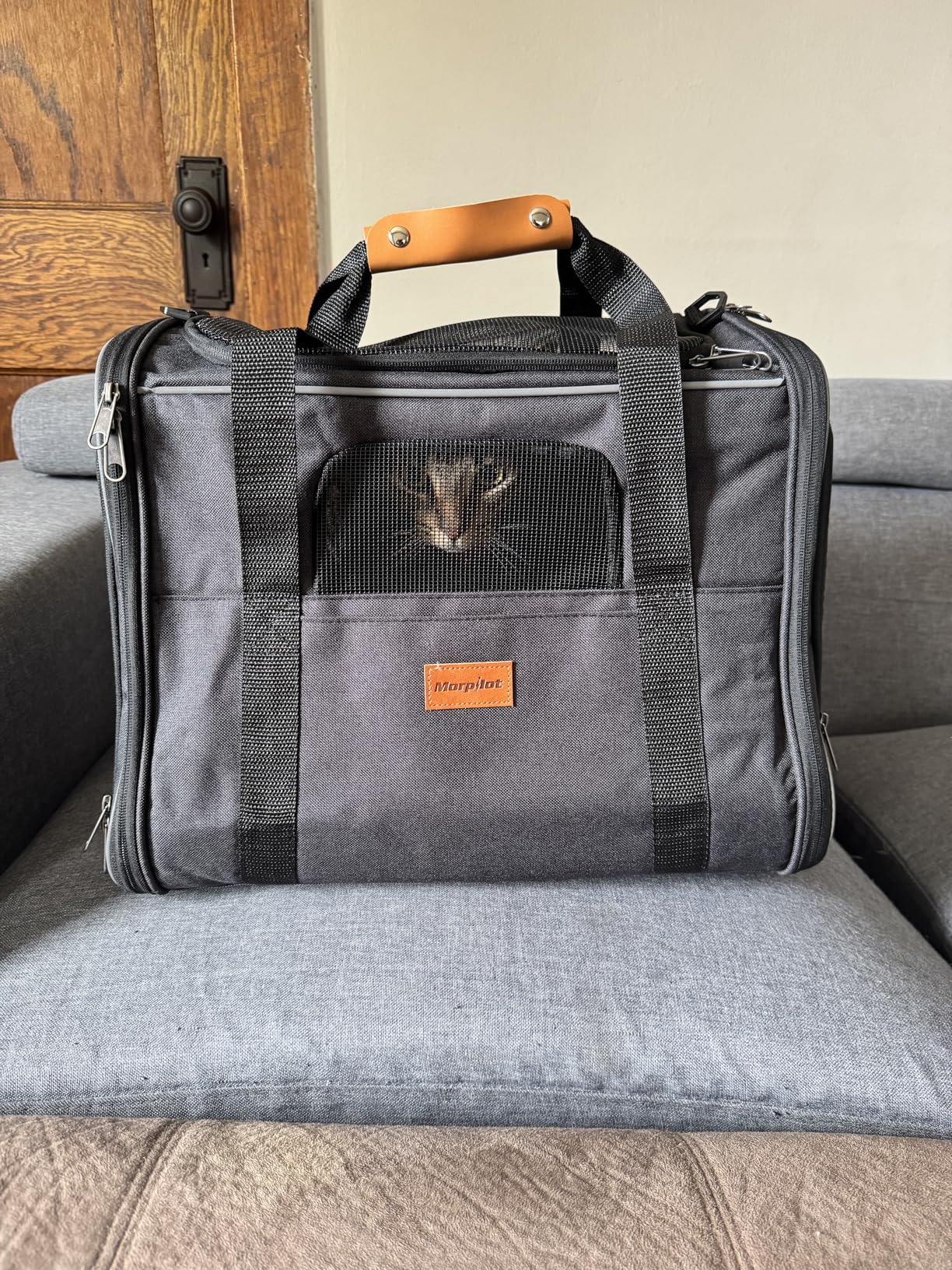 Morpilot Cat Carrier - Cat Carrier Soft for Medium or Large Cats up to 20lbs, with Dual-Sided Cushion, Secure Buckle and Foldable Bowl, Dog Carriers for Small Dogs - Pet Carrier (Dark Gray) customer photo 2