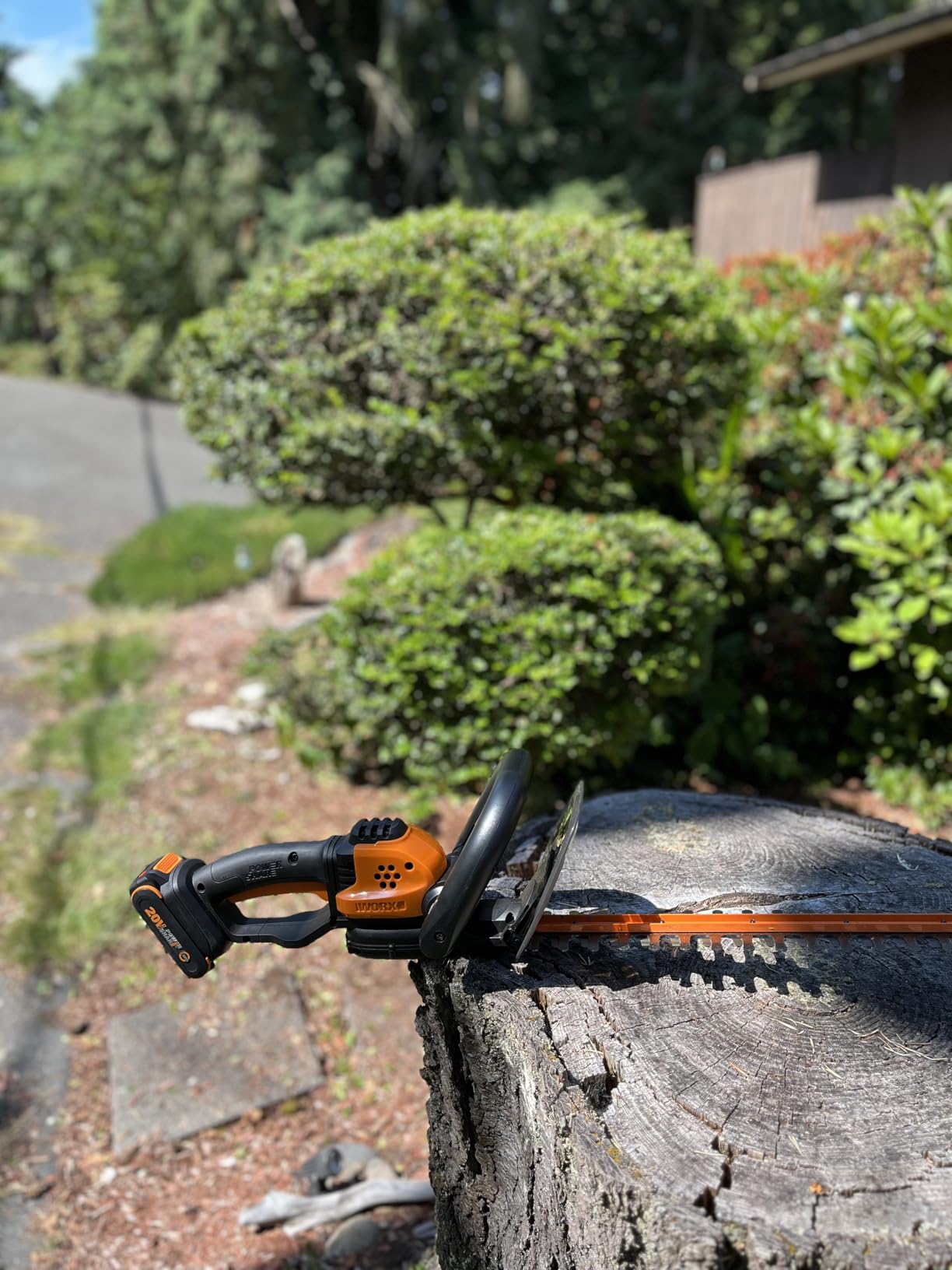 WORX 22
