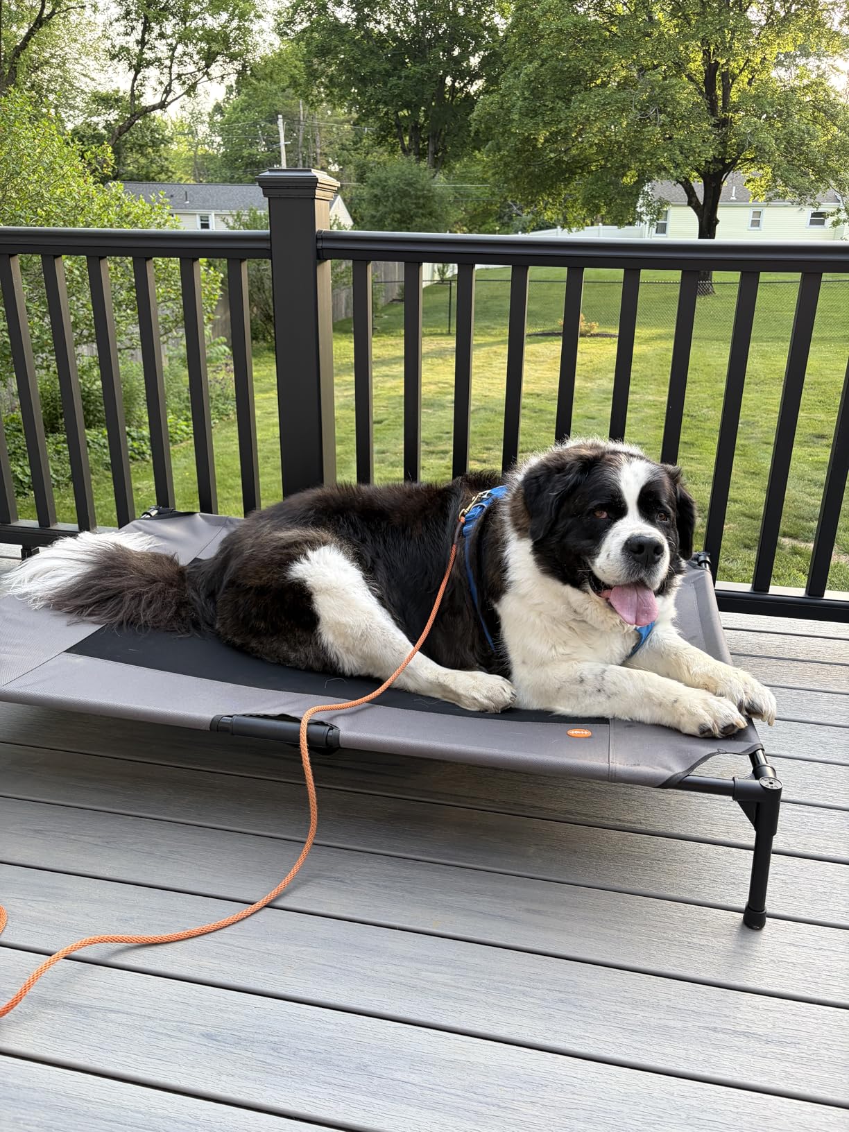 K&H Pet Products Outdoor Elevated Dog Cot - Breathable Cooling Elevated Cot Hammock Pet Bed for Large Dogs, Washable Mesh Cover, Large 42 x 30in Gray customer photo 2
