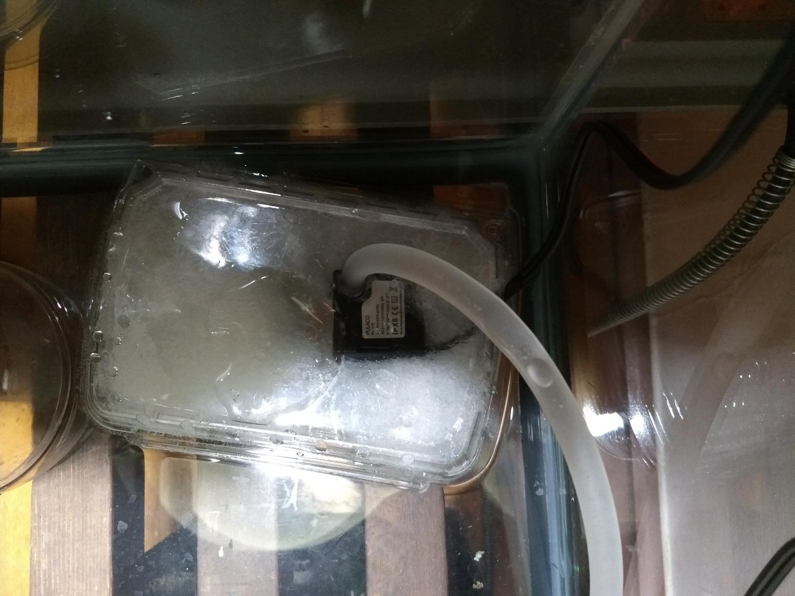 PULACO 50GPH 3W Mini Submersible Water Pump for Aquariums, Fish Tank, Pond, Fountain, Hydroponics customer photo 1