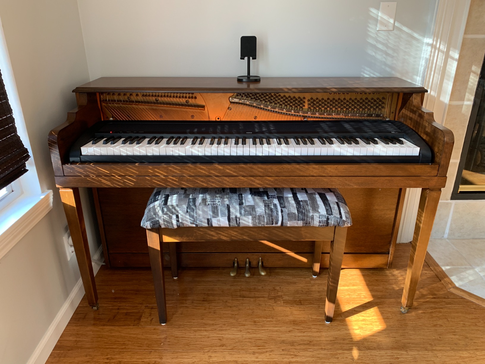 Korg B2 88-Key Digital Piano with Audio and MIDI USB - Software Included - Black (B2BK) customer photo 1