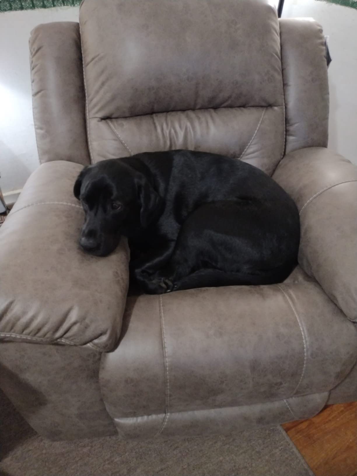 Signature Design by Ashley Stoneland Faux Leather Manual Pull Tab Rocker Recliner, Dark Brown customer photo 1