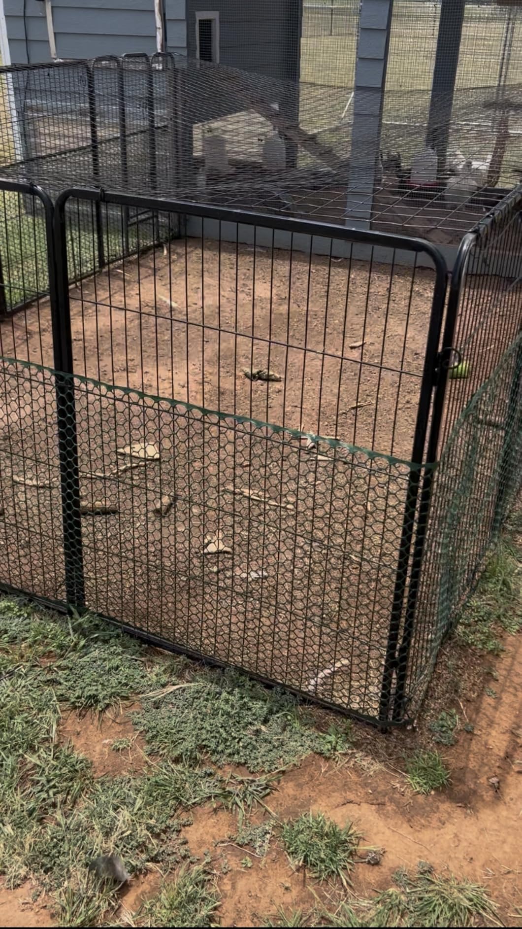 BestPet Dog Playpen, 40 Inch, 16 Panels, Heavy Duty Metal Pet Exercise Pen, Indoor Outdoor Fence Panels, Rust-Resistant, Removable, Tool-Free Setup, Anti-Skid, Expandable Design customer photo 1