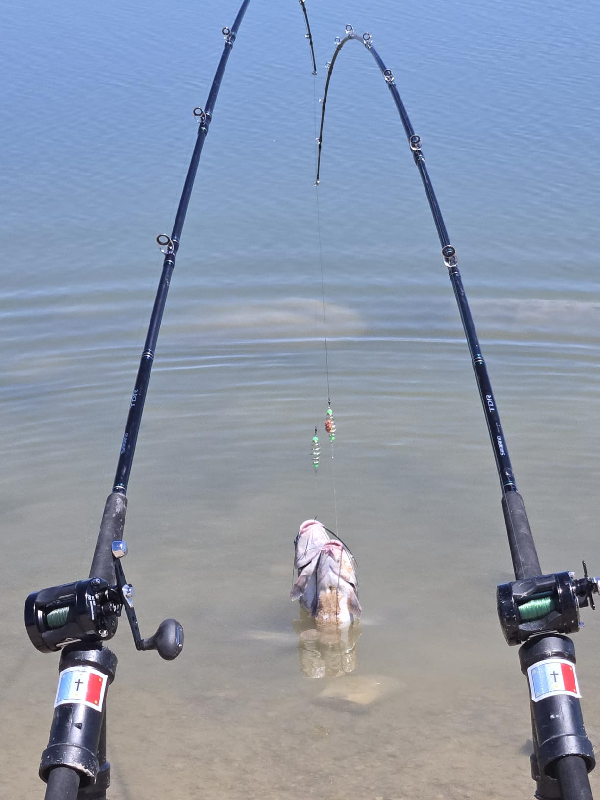 Piscifun Chaos XS Baitcasting Fishing Reel customer photo 1