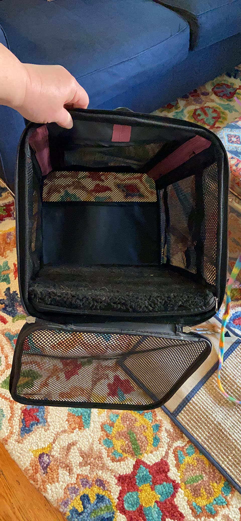 Soft Pet Carrier Bag for Cats and Puppy Under 20 lbs. Sturdy, Safe, Comfortable and Lightweight customer photo 1