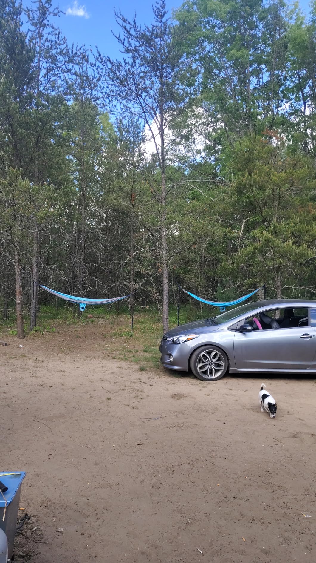 Kootek Camping Hammock, Portable Hammocks with Tree Straps & Attached Carry Bag, Camping Essentials Gear, Perfect for Outside Indoor Hiking Beach Backpack Travel customer photo 2