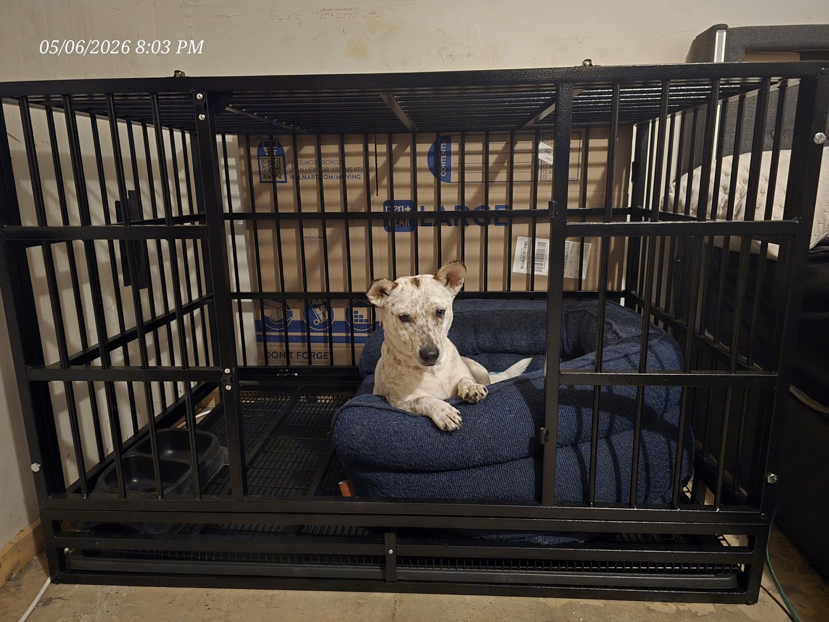 LEMBERI 48 Inch Heavy Duty Indestructible Dog Crate, 500lbs Capacity Escape Proof Double Door Kennel with Lockable Wheels, XL Dog Cage customer photo 1