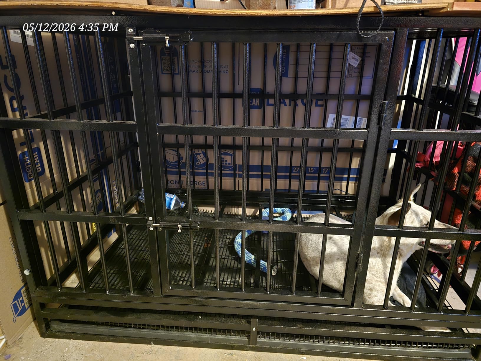 LEMBERI 48 Inch Heavy Duty Indestructible Dog Crate, 500lbs Capacity Escape Proof Double Door Kennel with Lockable Wheels, XL Dog Cage customer photo 2