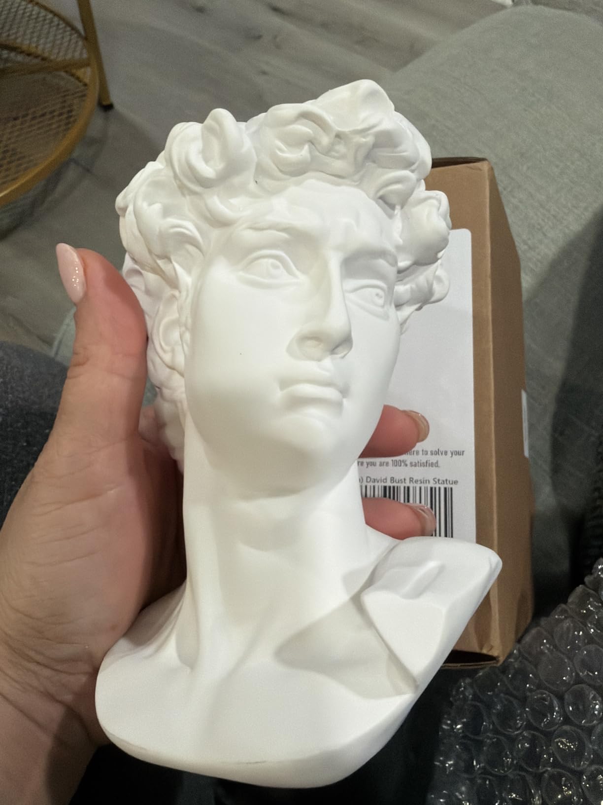 Garwor David Statue Head Sculptures 6