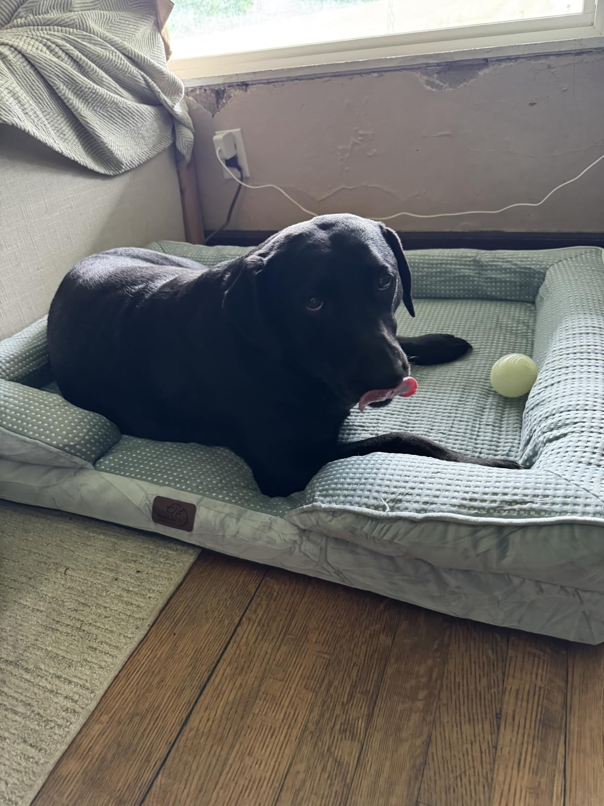 Bedsure Orthopedic Dog Beds Large Sized Dog - Washable Large Dog Cat Bed Waterproof, Comfort Dogs Couch Sofa with Washable Removable Cover, Pet Bed with Nonskid Bottom, Grey, 35