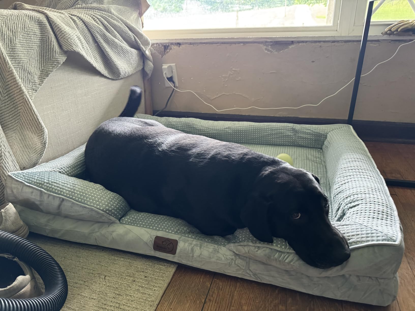 Bedsure Orthopedic Dog Beds Large Sized Dog - Washable Large Dog Cat Bed Waterproof, Comfort Dogs Couch Sofa with Washable Removable Cover, Pet Bed with Nonskid Bottom, Grey, 35