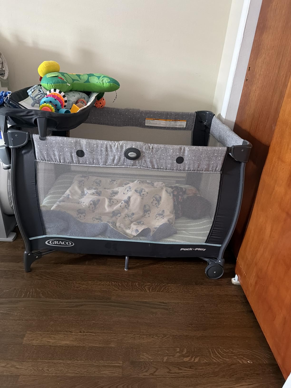 Graco Pack 'n Play Dome LX Playard with Baby Bassinet, Lightweight Portable Crib, Push-Button Fold, Redmond customer photo 2