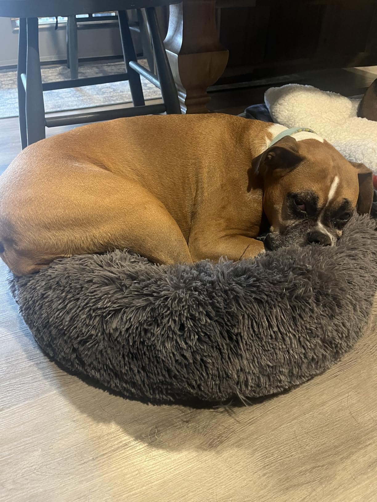 Bedsure Calming Donut Dog Bed Medium - 30 inch Anti-Slip Round Fluffy Plush Faux Fur Bed, Camel customer photo 1