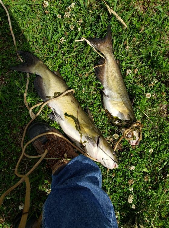 Ugly Stik 5' Complete Spinning Kit Fishing Rod and Reel Combo, 2-Piece customer photo 1