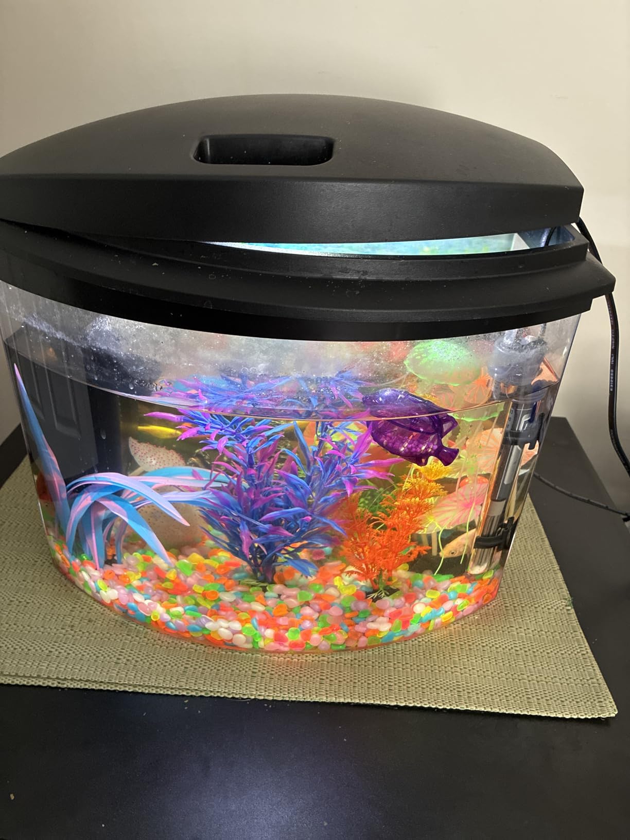 Aqueon LED MiniBow Small Aquarium Fish Tank Kit with SmartClean Technology, Black, 2.5 Gallon customer photo 2