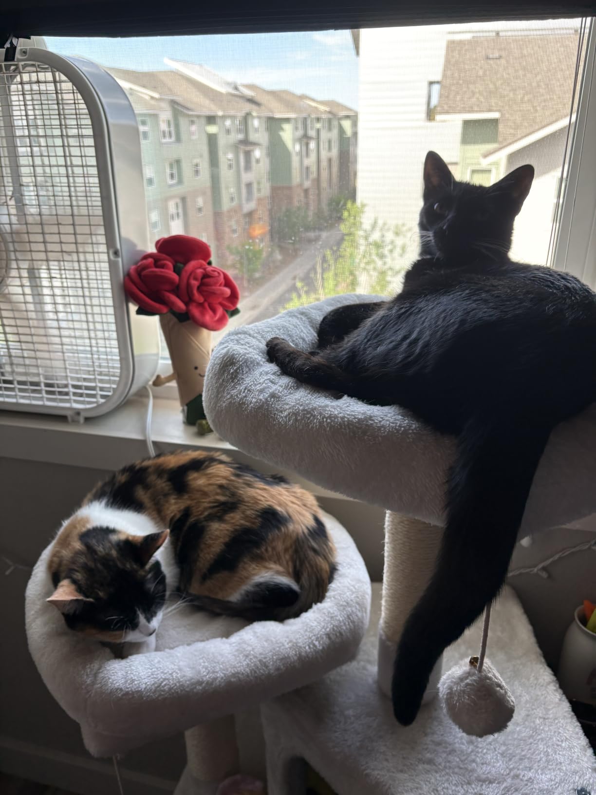 Feandrea Cat Tree, 45.3-Inch Cat Tower, Plush Condo with Scratching Post, Ramp, Perch, Spacious Cave, for Small Space, Light Gray UPCT141W01 customer photo 1