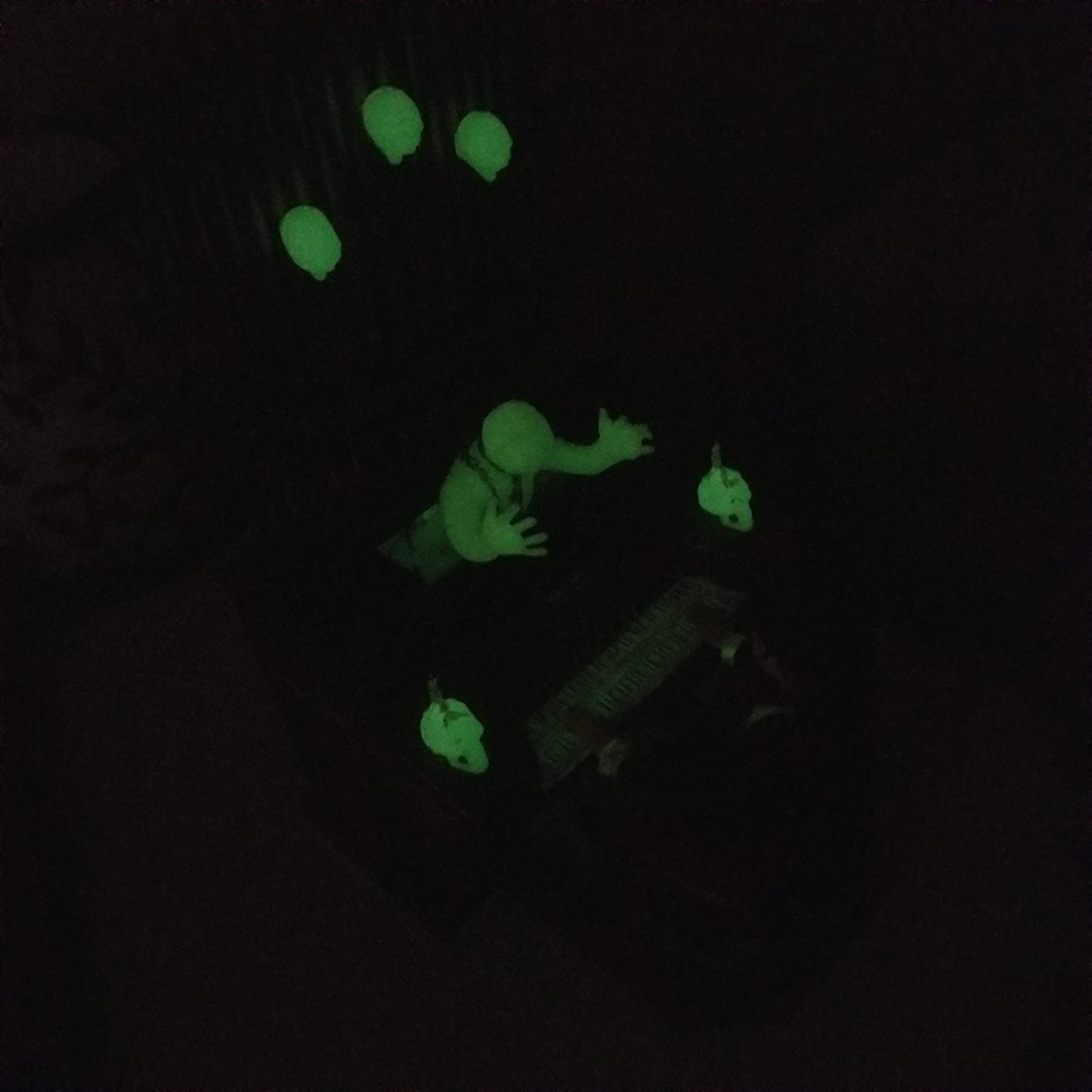 Round 2 Haunted Manor: Play It Again, Tom! (POL984) customer photo 1