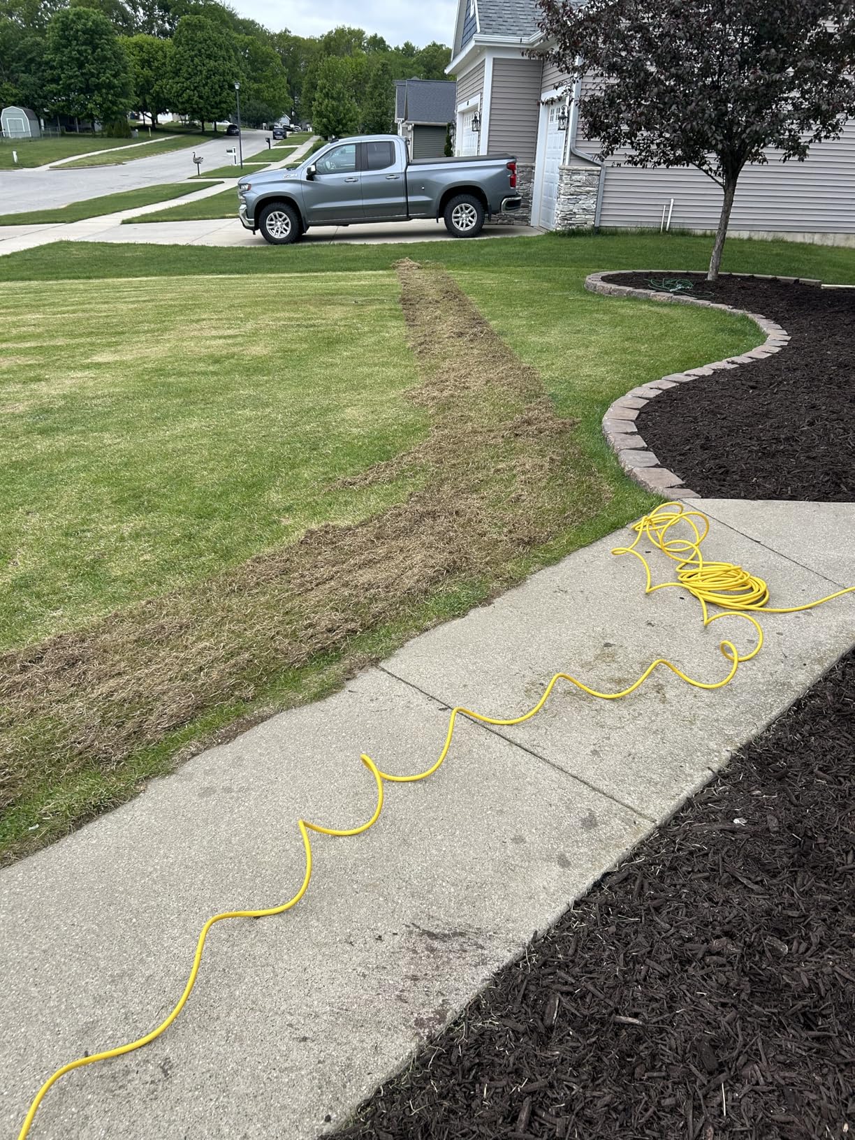 Sun Joe 15-Inch Electric Powered Lawn Dethatcher with Scarifier Blade Reel and Collection Bag - 13-Amp Corded, AJ805E customer photo 1