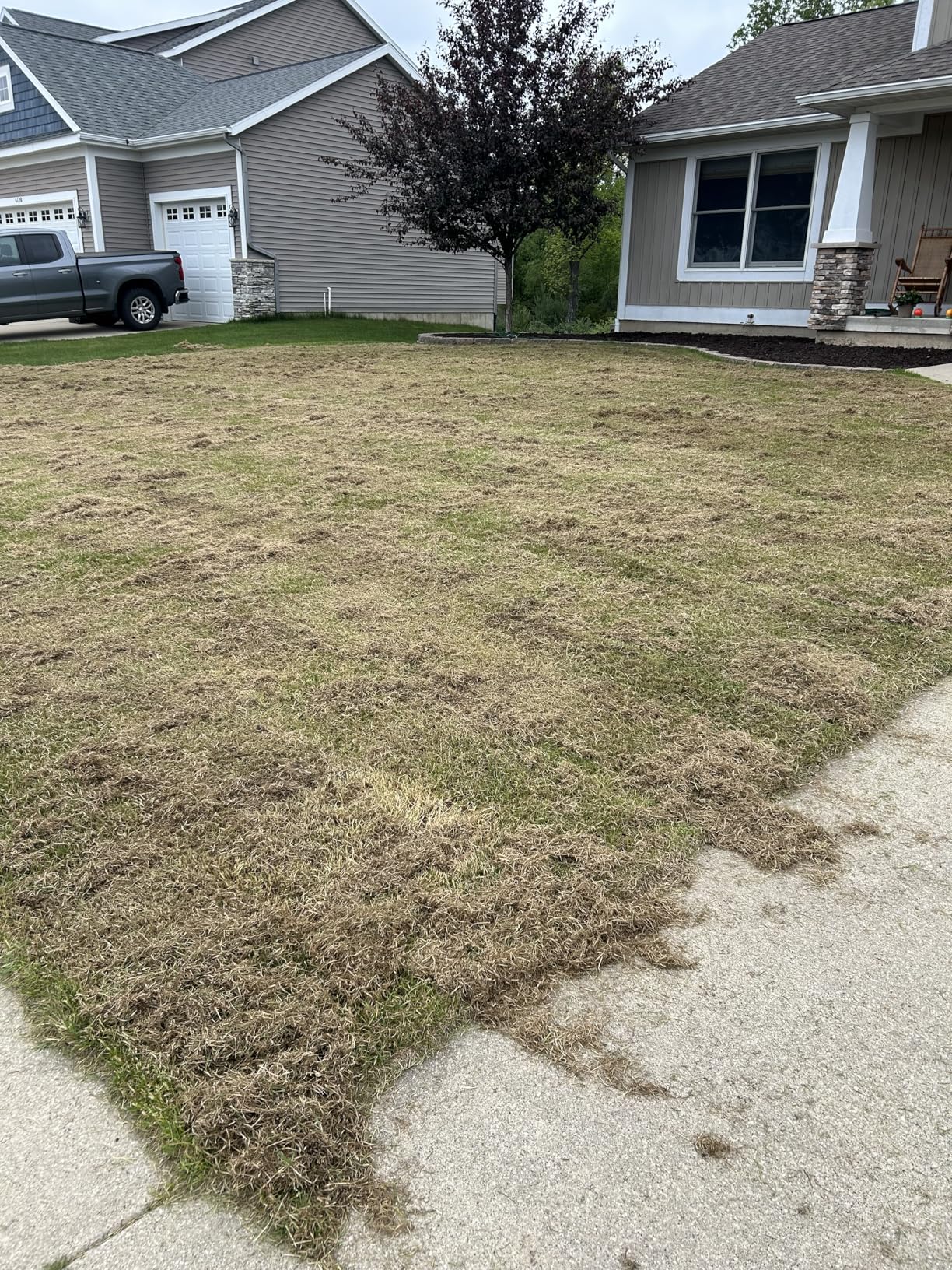 Sun Joe 15-Inch Electric Powered Lawn Dethatcher with Scarifier Blade Reel and Collection Bag - 13-Amp Corded, AJ805E customer photo 2