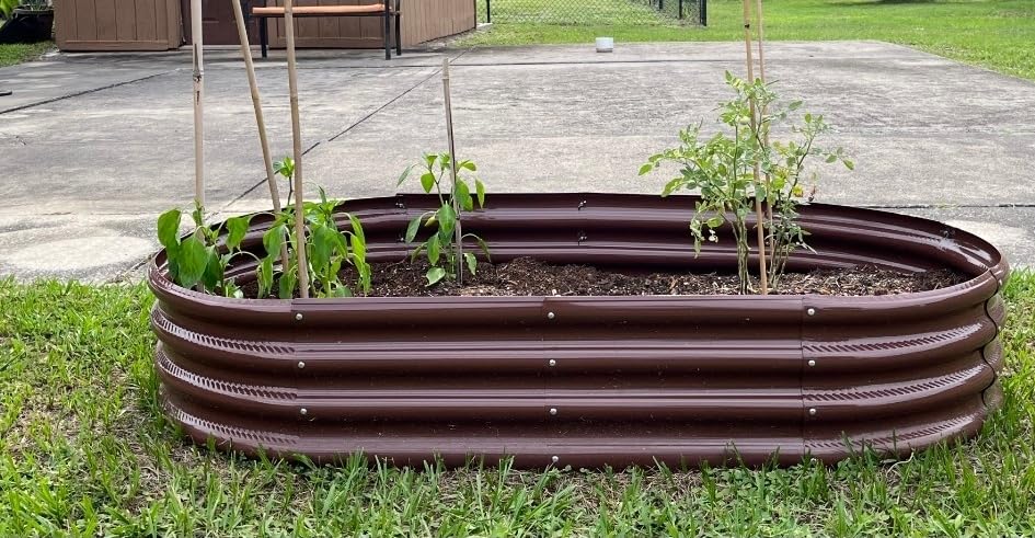 Rakukiri Raised Garden Bed GRS Certified Galvanized Planter Box Outdoor, 5ft Oval Rot-Resistant Metal Garden Bed Planter, Recycled Material Planter for Vegetables Flowers Herbs customer photo 2