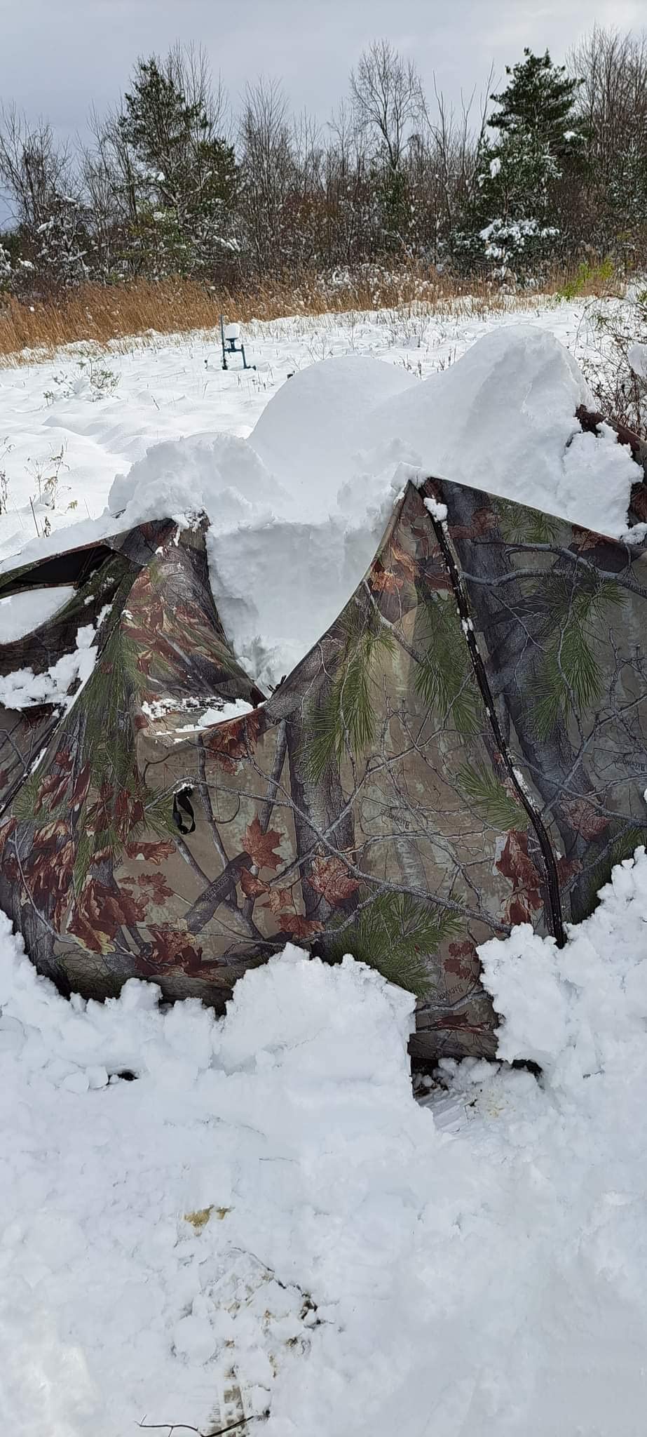 Barronett Blinds Feather Five, Portable Hunting Blind, Huge Interior, Lightweight, 4-Person, Bloodtrail Backwoods, 72 x 84 x 84, FF500BW customer photo 1
