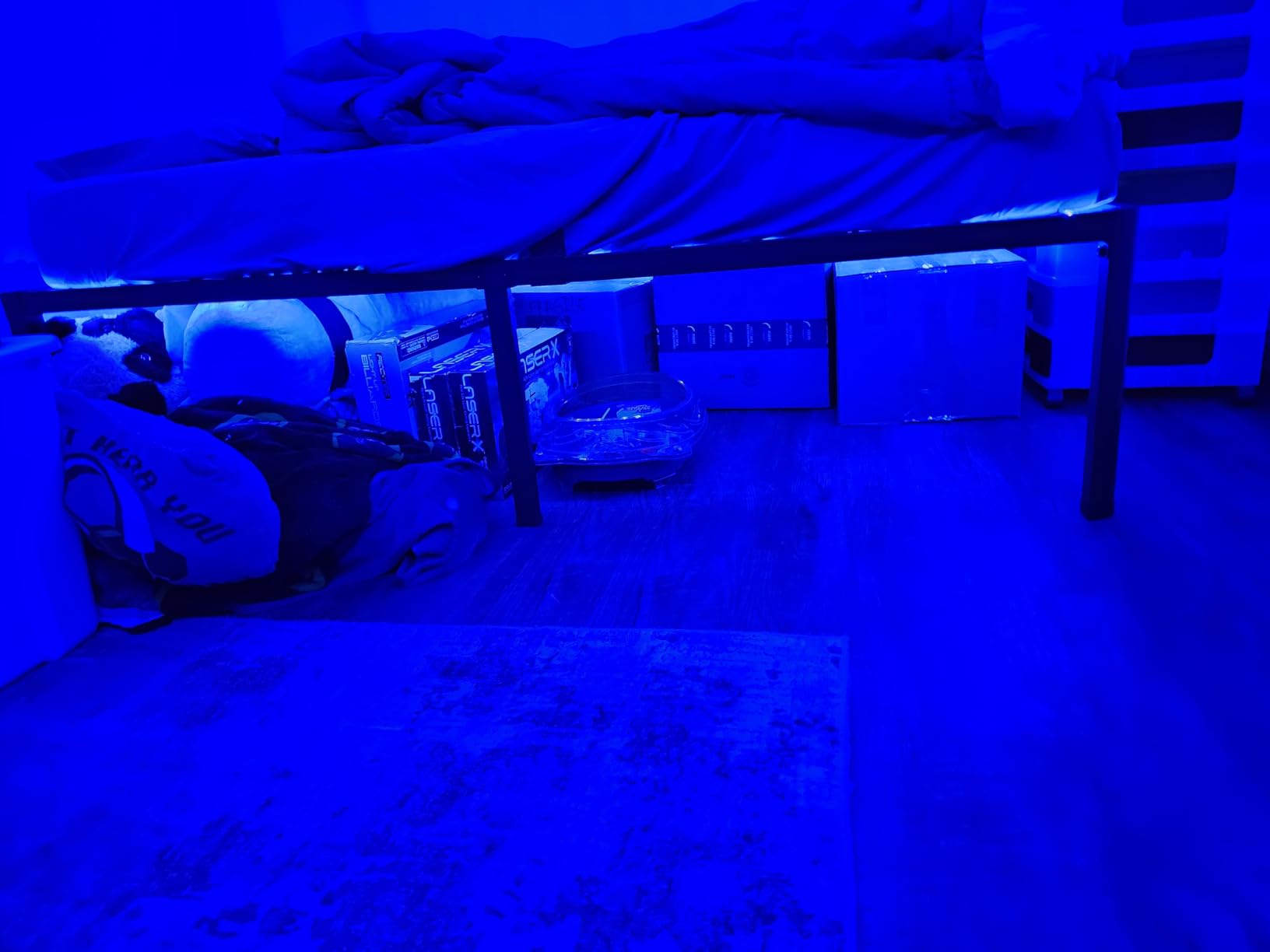 Govee RGBIC LED Strip Lights, 32.8ft Smart LED Lights for Bedroom, Bluetooth LED Lights APP Control, DIY Multiple Colors on One Line, Color Changing LED Strip Lighting Music Sync customer photo 2