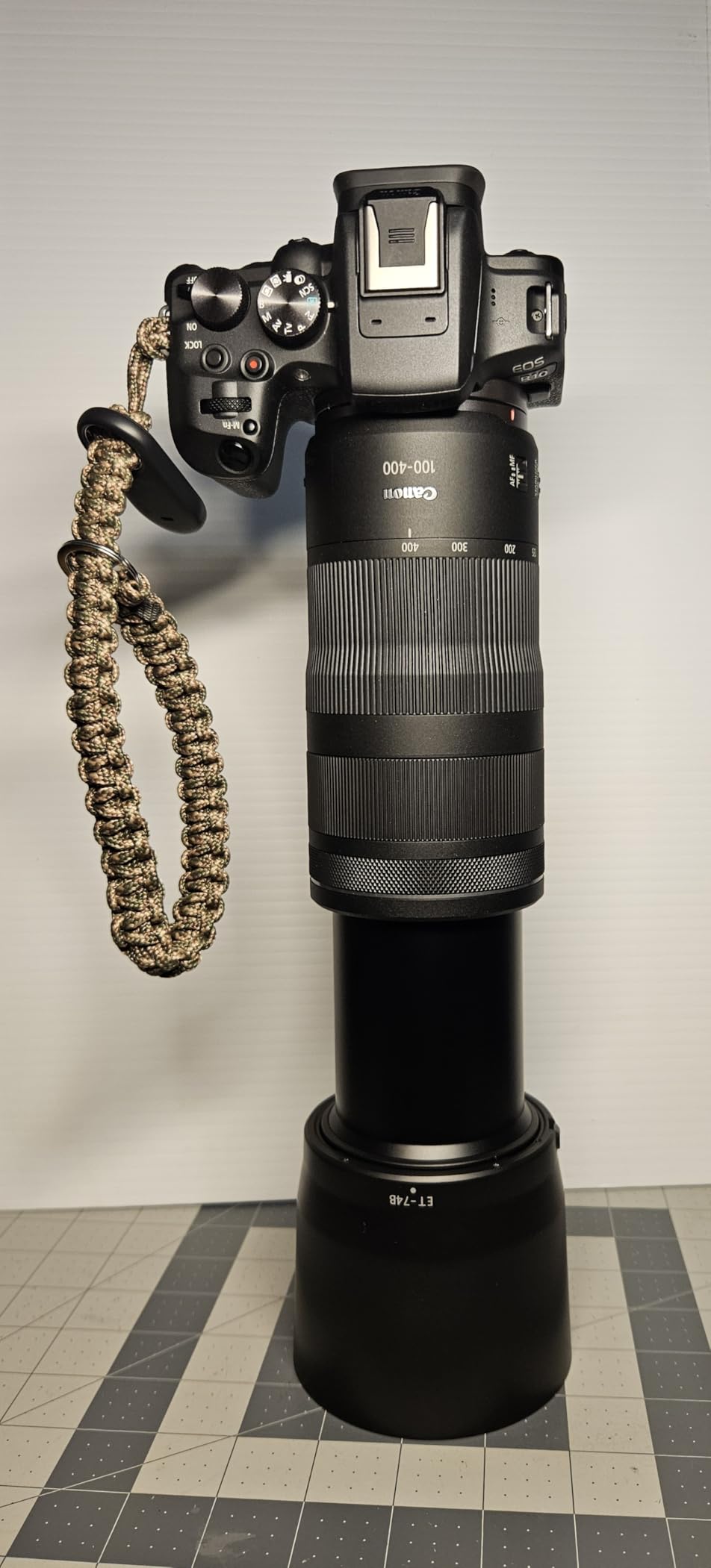 Canon RF100-400mm F5.6-8 IS USM Telephoto Lens, Compatible with EOS R Series Mirrorless Cameras customer photo 2