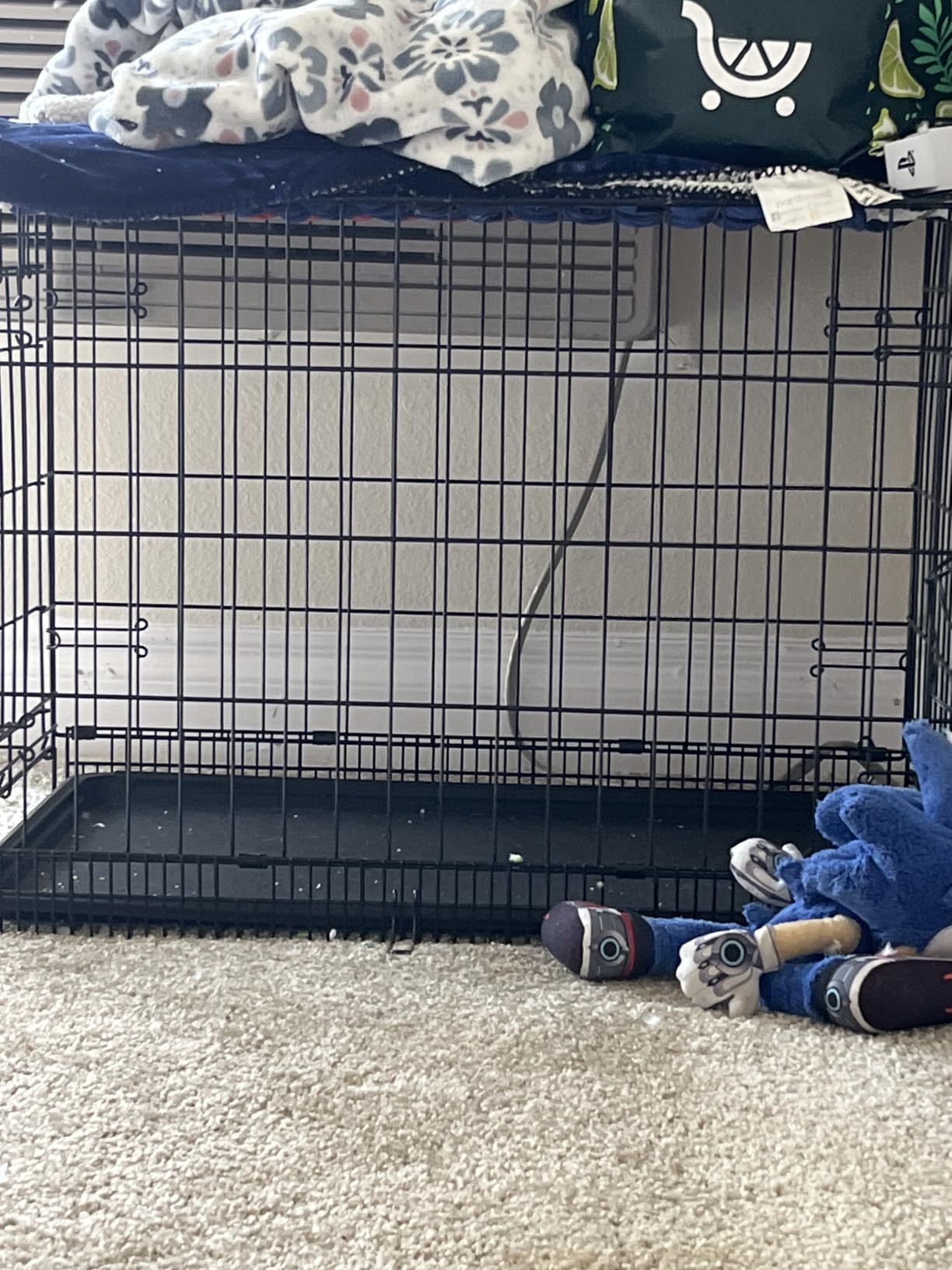 Amazon Basics Portable, Foldable Metal Wire Dog Crate with Removable Tray, Single Door, Divider Panel, Quick Setup, 30 x 19 x 21 in, Black customer photo 1