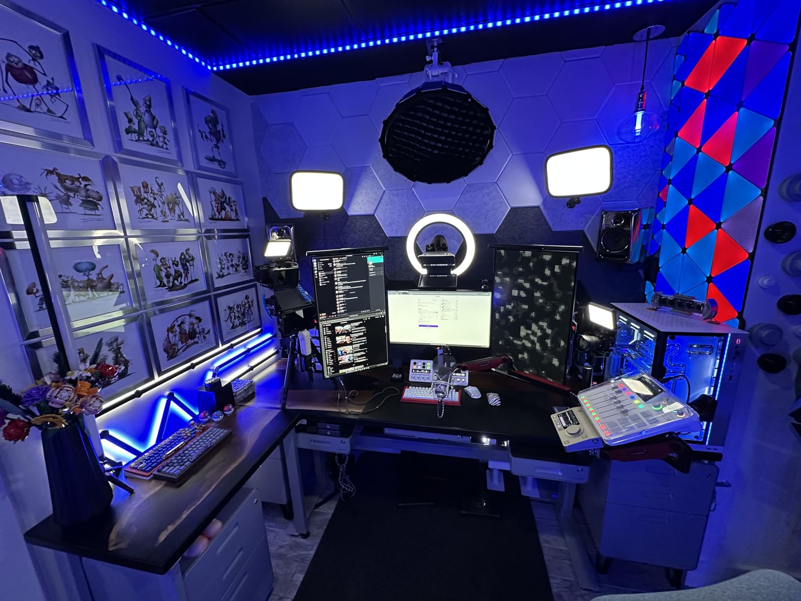 RODE RODECaster Pro II All-in-One Production Solution for Podcasting, Streaming, Music Production and Content Creation customer photo 1