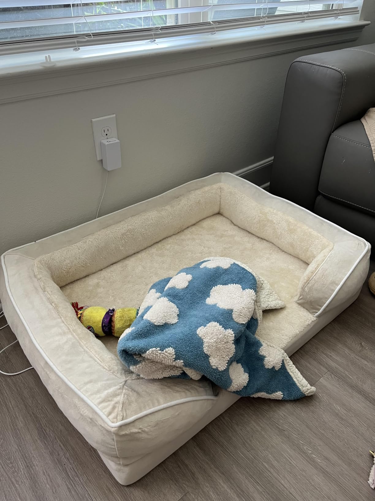 Comfort Expression Orthopedic Dog Bed for Extra Large Dogs 42x30 Inch, Waterproof Egg Crate Foam XL Pet Bed with Removable Bolsters, Dog Couch with Washable Cover & Non-Slip Bottom, Grey customer photo 1