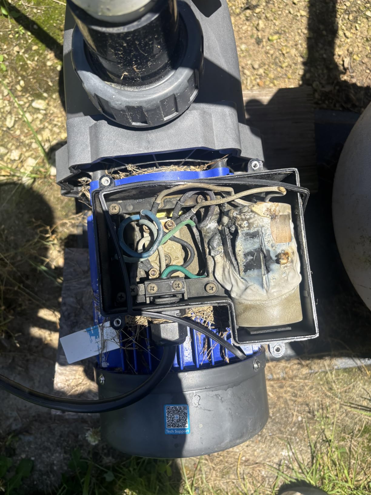 Aquastrong 2HP In/Above Ground Pool Pump, Dual Speed, 115V, 5186GPH, High Flow, Self Priming with Filter customer photo 2