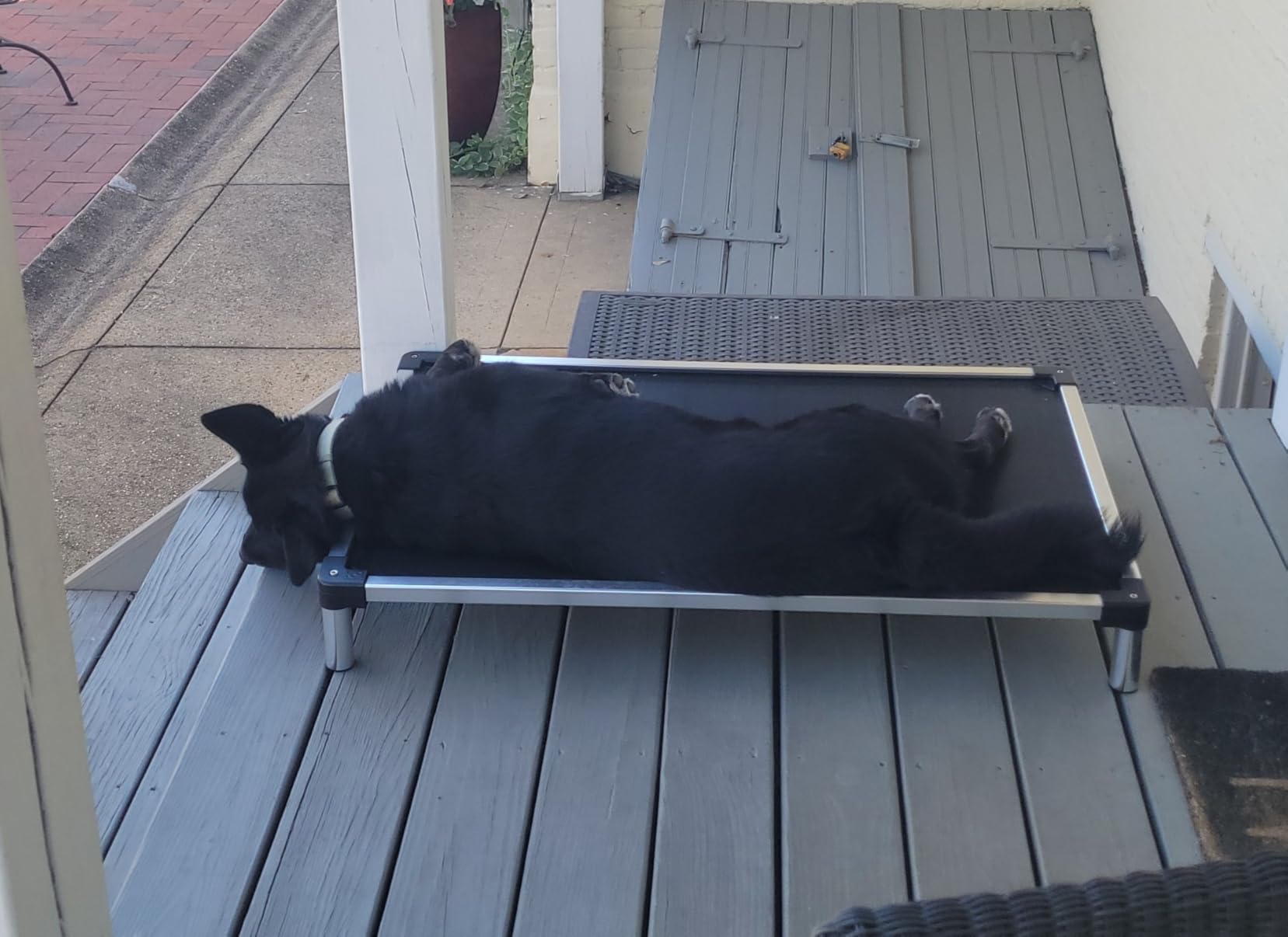 K9 Ballistics Chew Proof Elevated Outdoor Cooling Cot Bed for Medium Dogs - Virtually Indestructible, Preassembled, Ripstop Blue Quartz customer photo 2