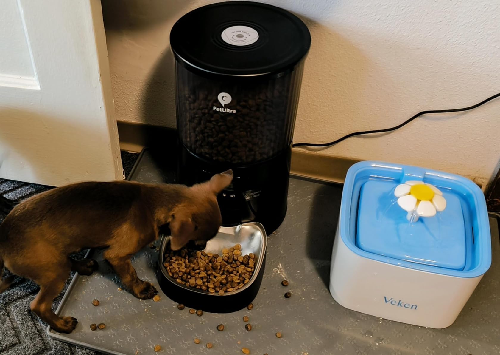 PETULTRA Automatic Cat Feeder: 4L Timed Cats Food Dispenser Programmable 1-6 Meal for Cat and Small Medium Dog - Auto Pet Feeder Easy to Set Up Dual Power Supply with Desiccant Bag | Detachable Washable customer photo 2
