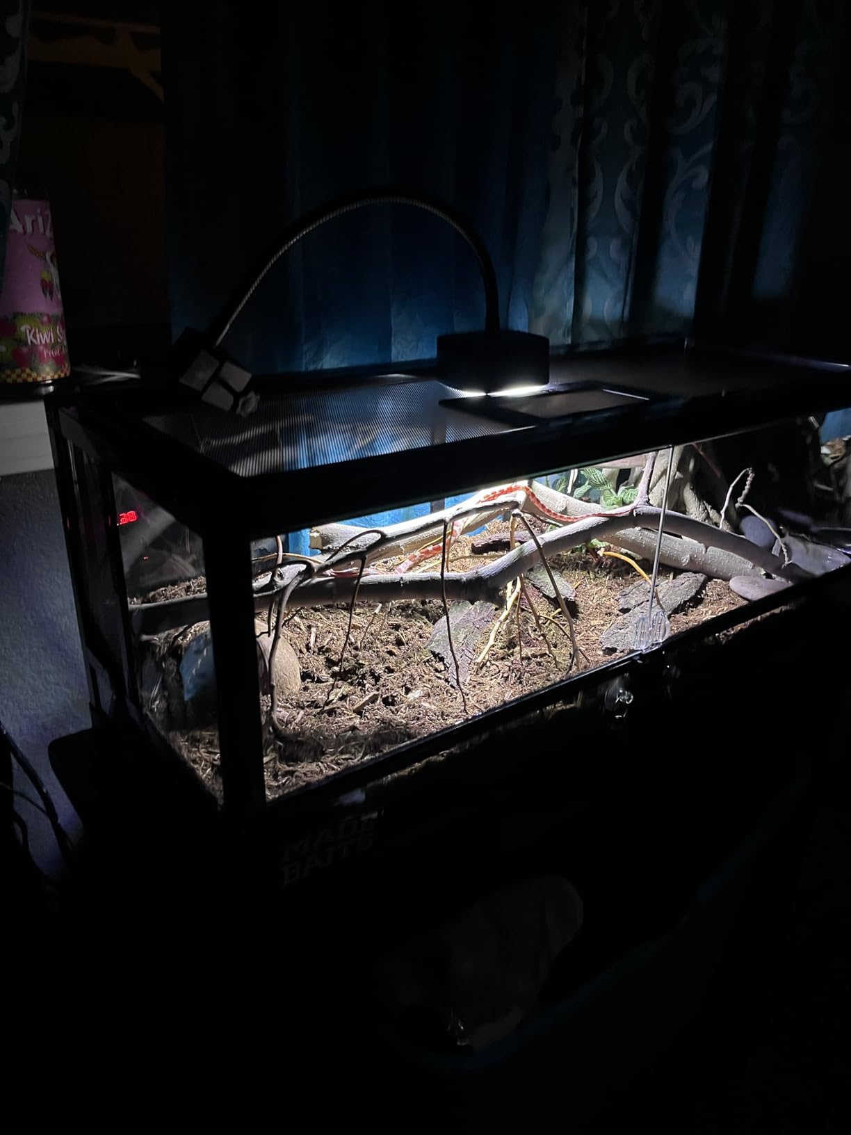 Zilla QuickBuild Reptile 65 Gallon Glass Terrarium Habitat with Sliding Door For Geckos, Snakes, Lizards, Frogs, Turtles, and Tortoises, 48