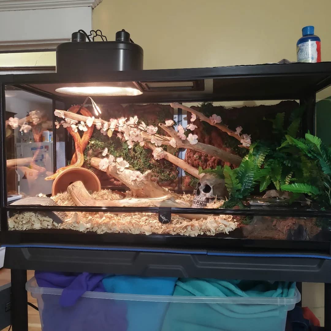 Zilla QuickBuild Reptile 65 Gallon Glass Terrarium Habitat with Sliding Door For Geckos, Snakes, Lizards, Frogs, Turtles, and Tortoises, 48