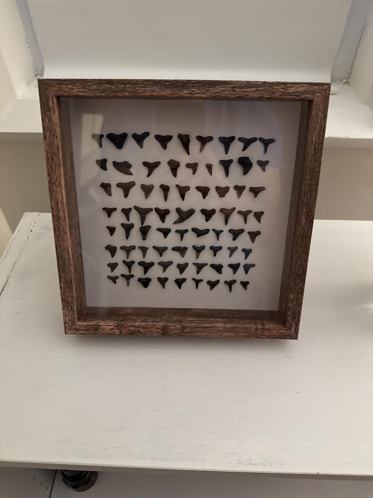 Califortree 8x8 Shadow Box Frame with Soft Linen Back - Metal Push Pins Included, Memory Box Display Case for Memorabilia Flower Awards Medals Wedding Photos, White customer photo 1