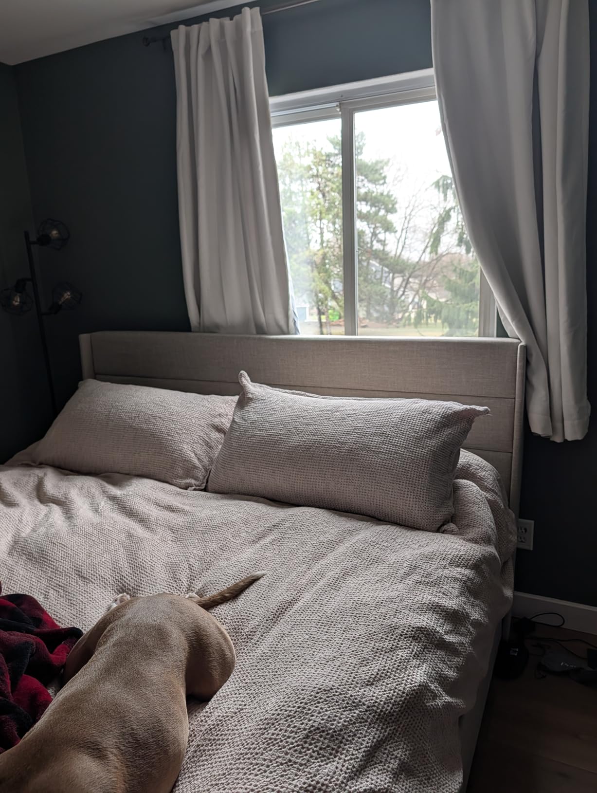 SHA CERLIN Queen Size Lift Up Storage Bed, Modern Wingback Headboard, Upholstered Platform Bed Frame, Hydraulic Storage, No Box Spring Needed, Wood Slats Support, Light Beige customer photo 2