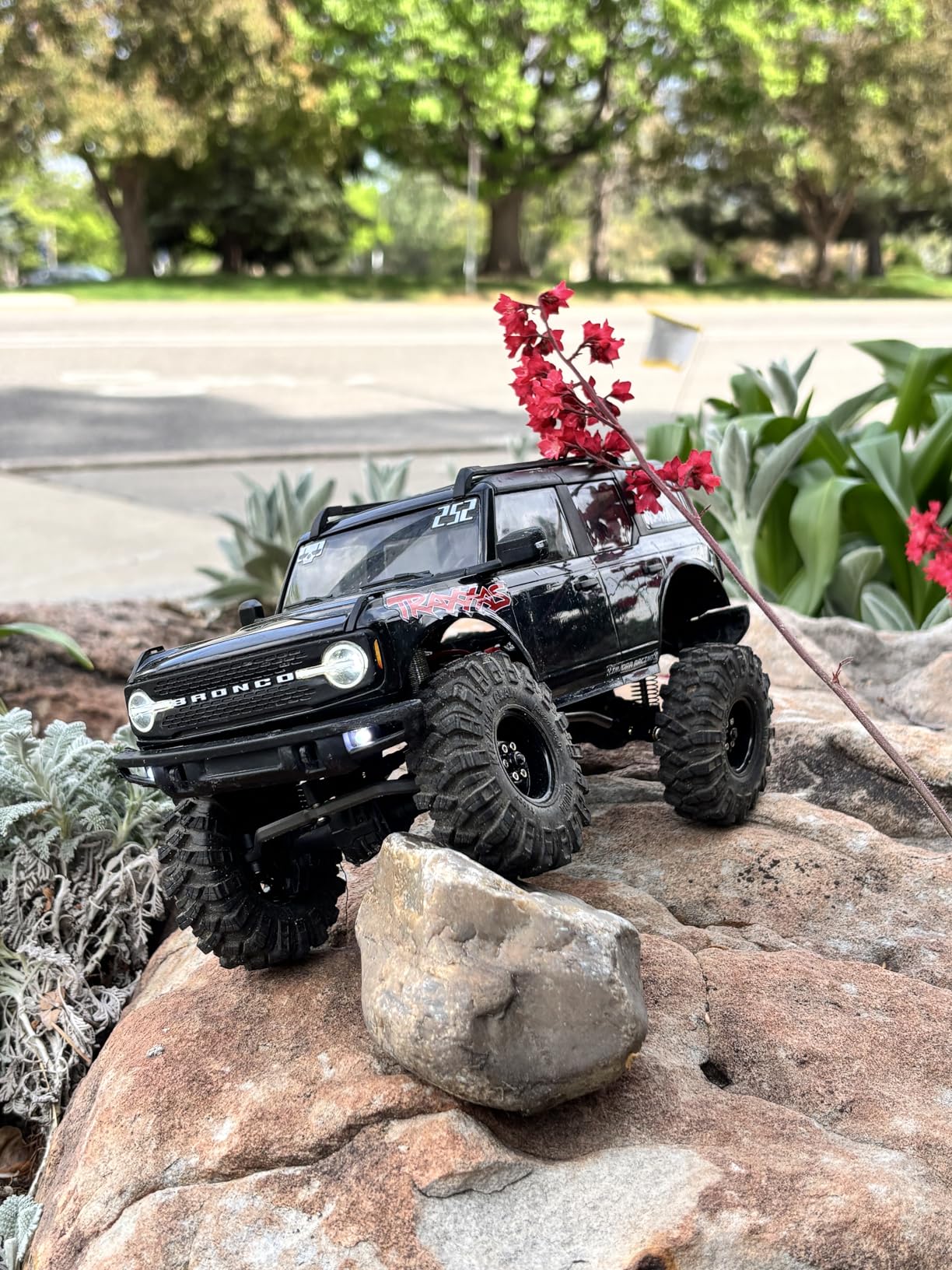 TRX-4M 4X4 Crawler with Ford Bronco Body customer photo 1