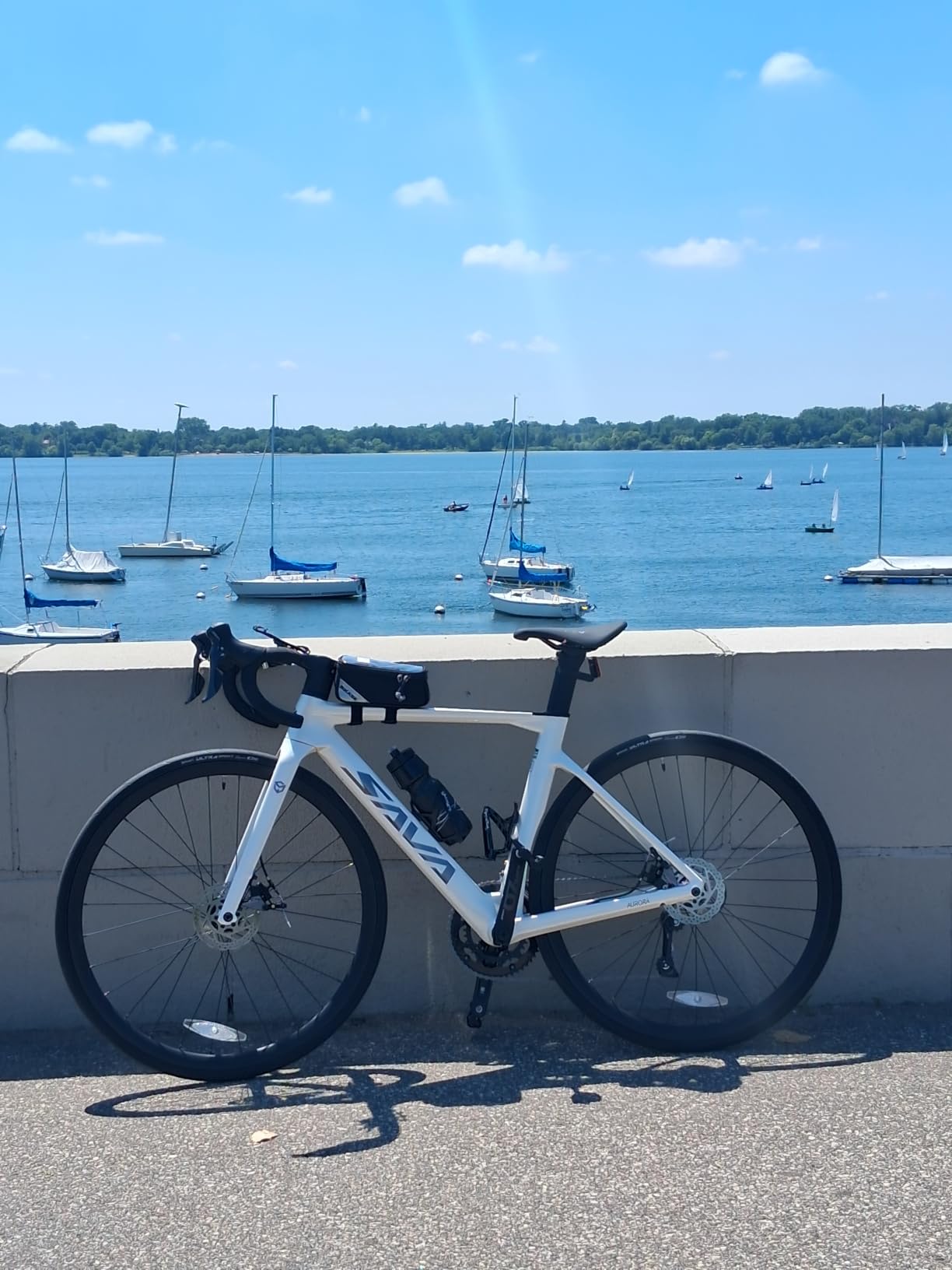 SAVADECK Carbon Disc Road Bike, Integrated Design Racing Bicycle Carbon Frame Carbon Fork with Shimano SORA R3000 18 Speed Disc Brake customer photo 1