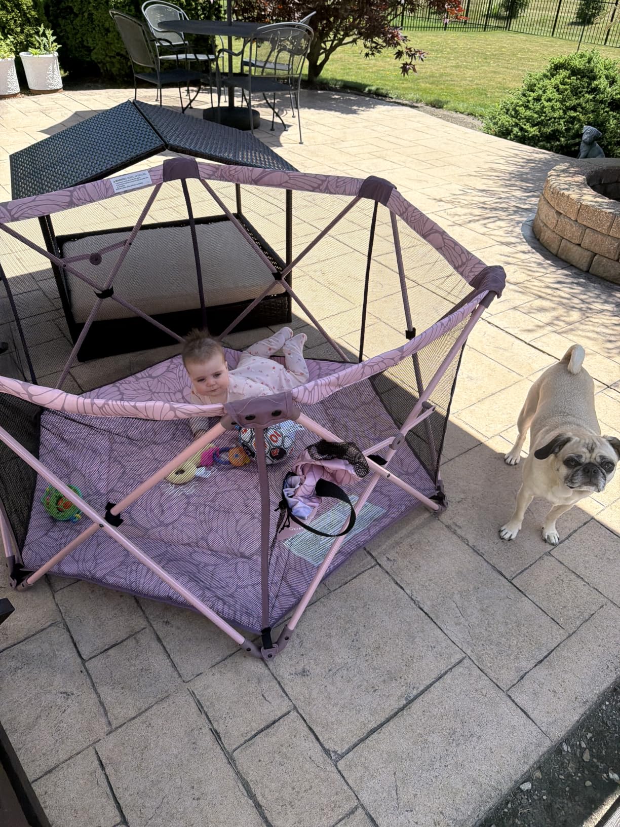 Baby Delight Go with Me Eclipse Deluxe Portable Playard | Playpen | Sun Canopy | Indoor and Outdoor | Ultra Padded Nylon Floor | Green Garden customer photo 1