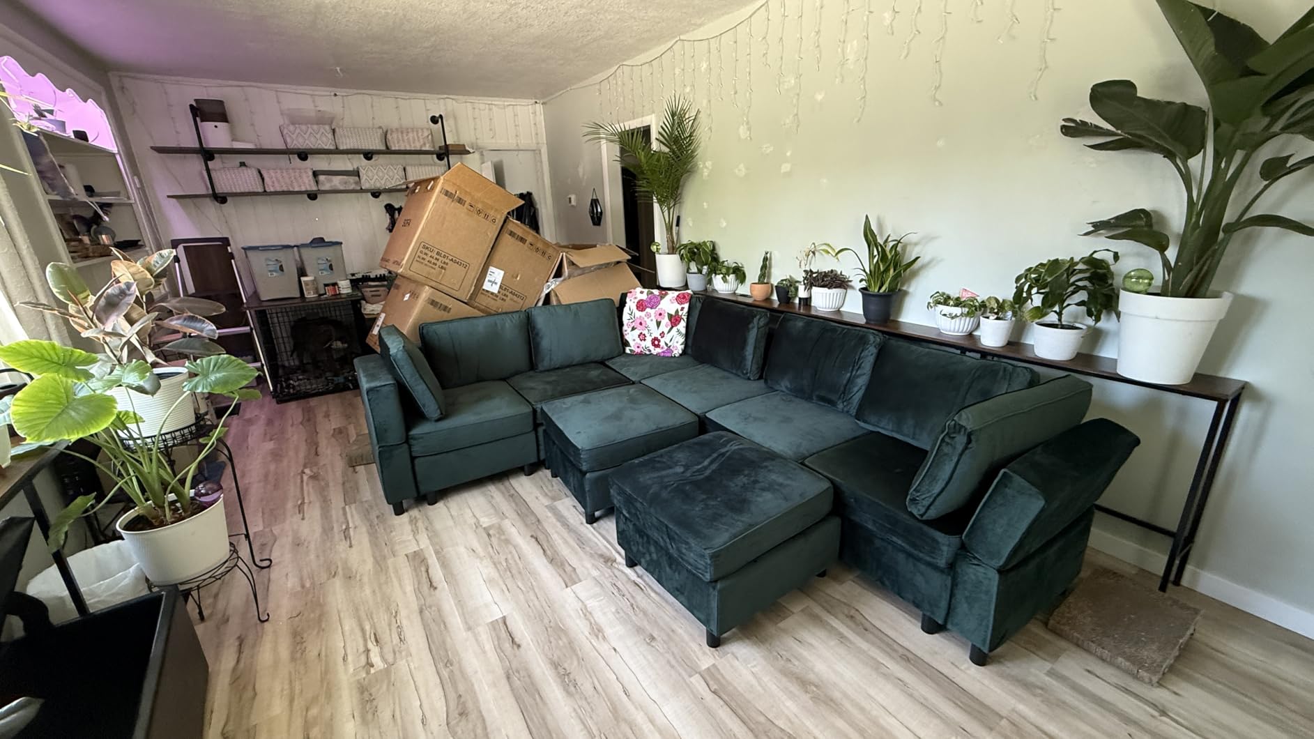 Belffin Modular Sectional Sofa Couch with Reversible Chaise Velvet L Shaped Couch Sofa with Storage 4-seat Convertible, Black customer photo 1