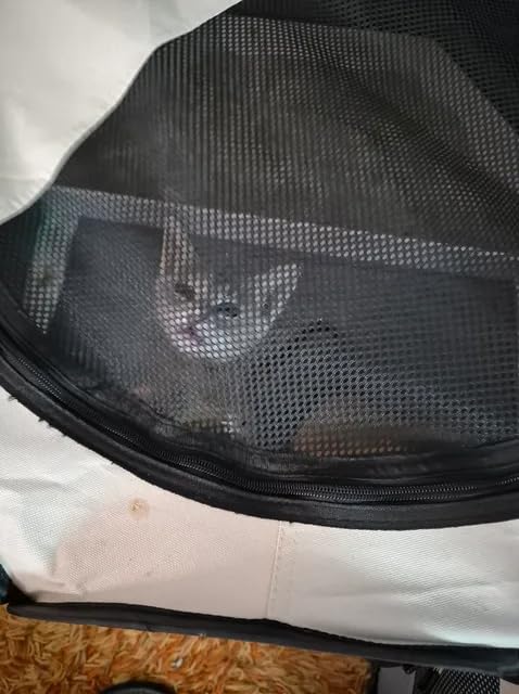 Siedihit Dog Cat Playpen, Puppy Pet Playpen Indoor for Small Dog Crate Tent Cage Outdoor, Portable Pop Up Dogs Enclosure Kennel with Carrying Case for Dogs/Cats/Rabbits, Grey, Small customer photo 2