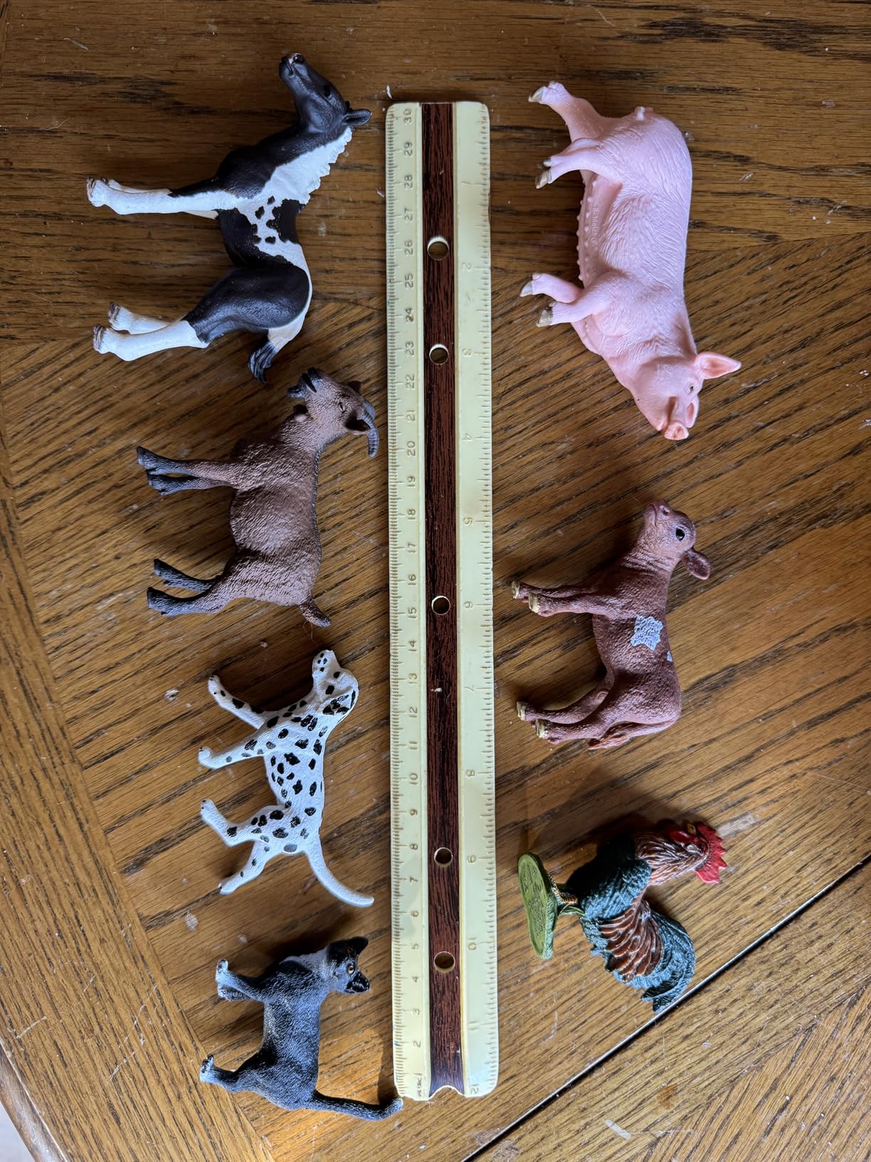 Schleich Farm World - 7 PC Farm Animal Playset with Dog, Cat, Pig, Goat, Rooster, Baby Horse and Cow Toys - Realistic Barnyard Figurines - Fun Educational Figures For Kids and Toddlers Ages 3+ | 77533 customer photo 2